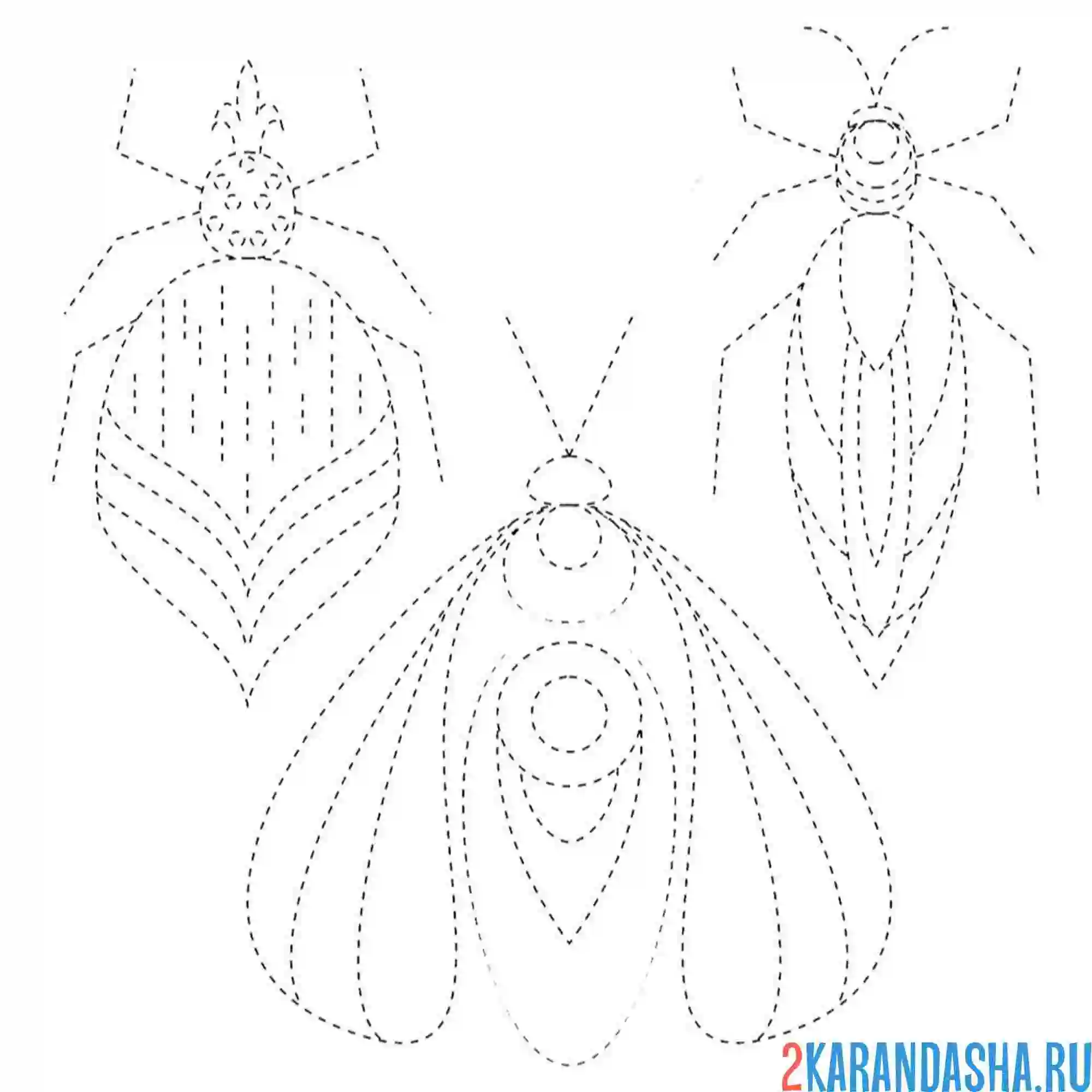 Раскраска обведи по линии насекомых