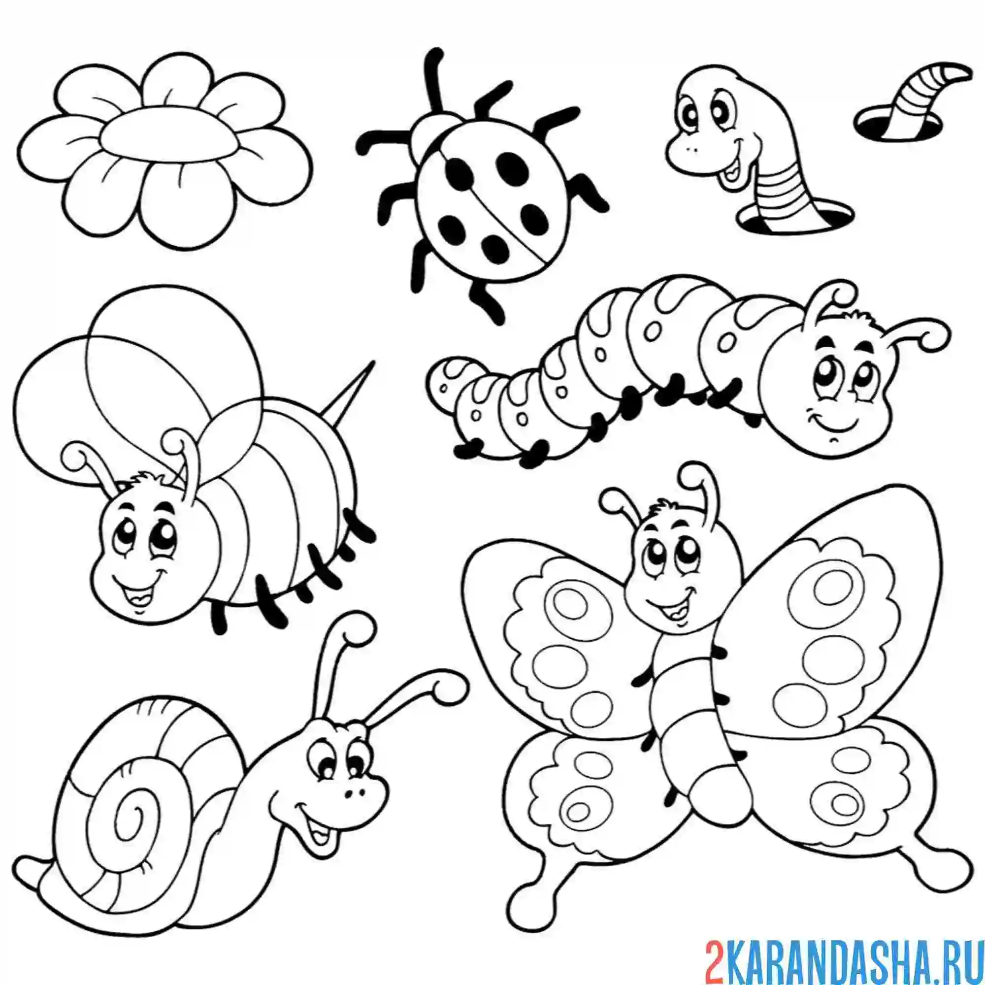 Раскраска выбор насекомые