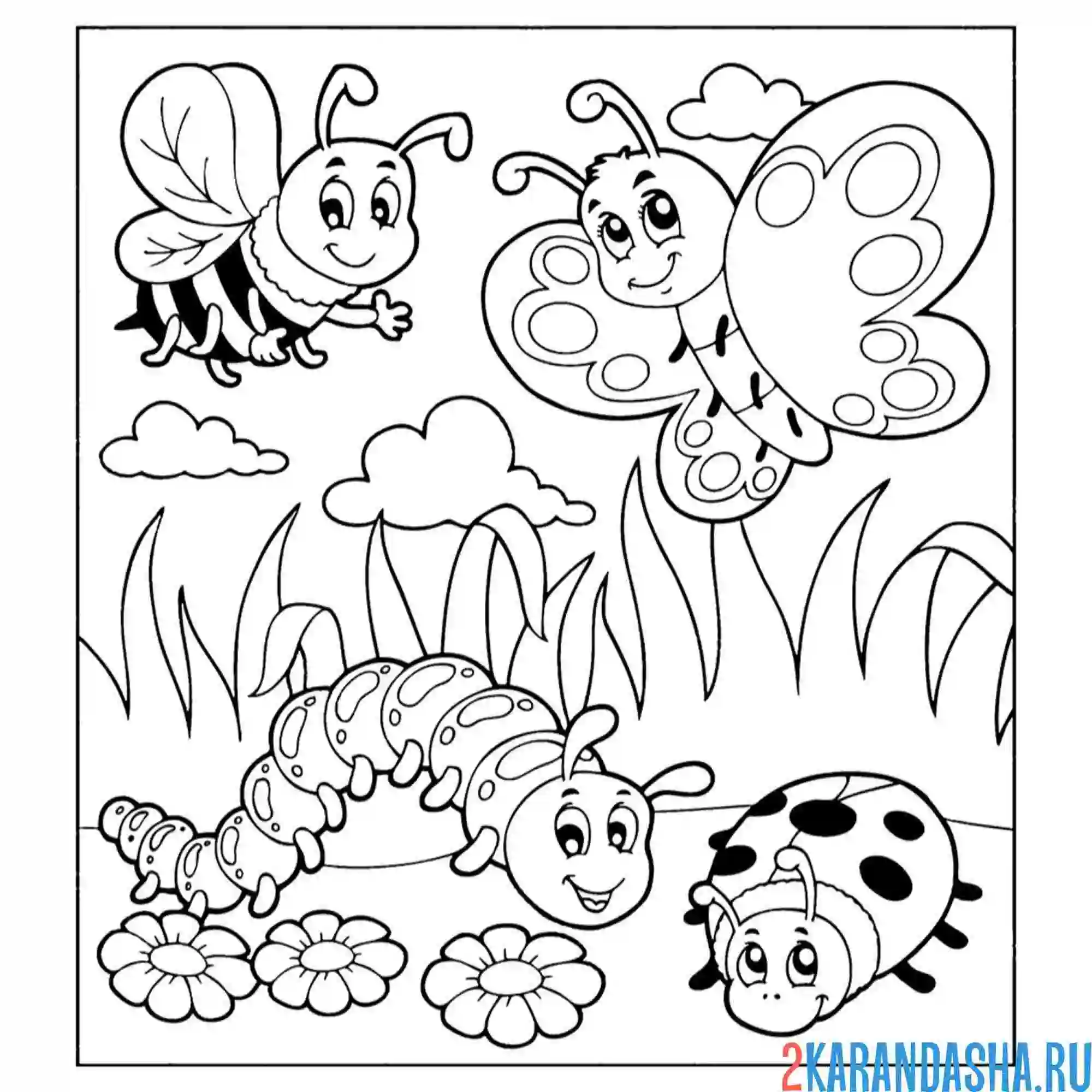 Раскраска гусеница, пчела, бабочка и божья коровка насекомые