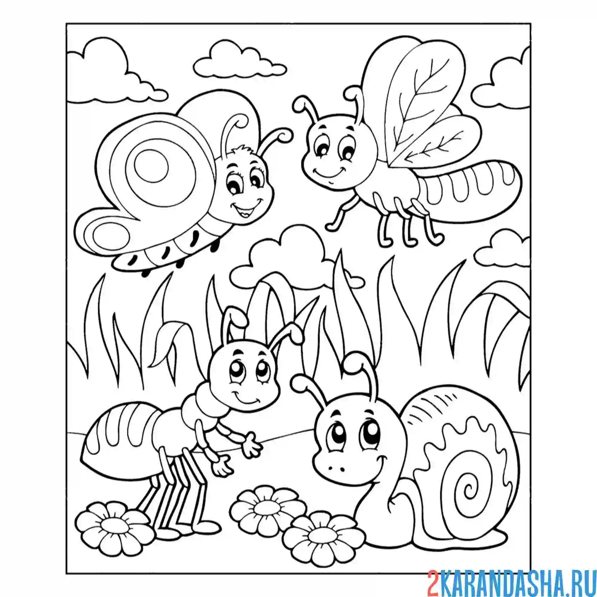 Раскраска бабочка, муравей, стрекоза, улитка, насекомые