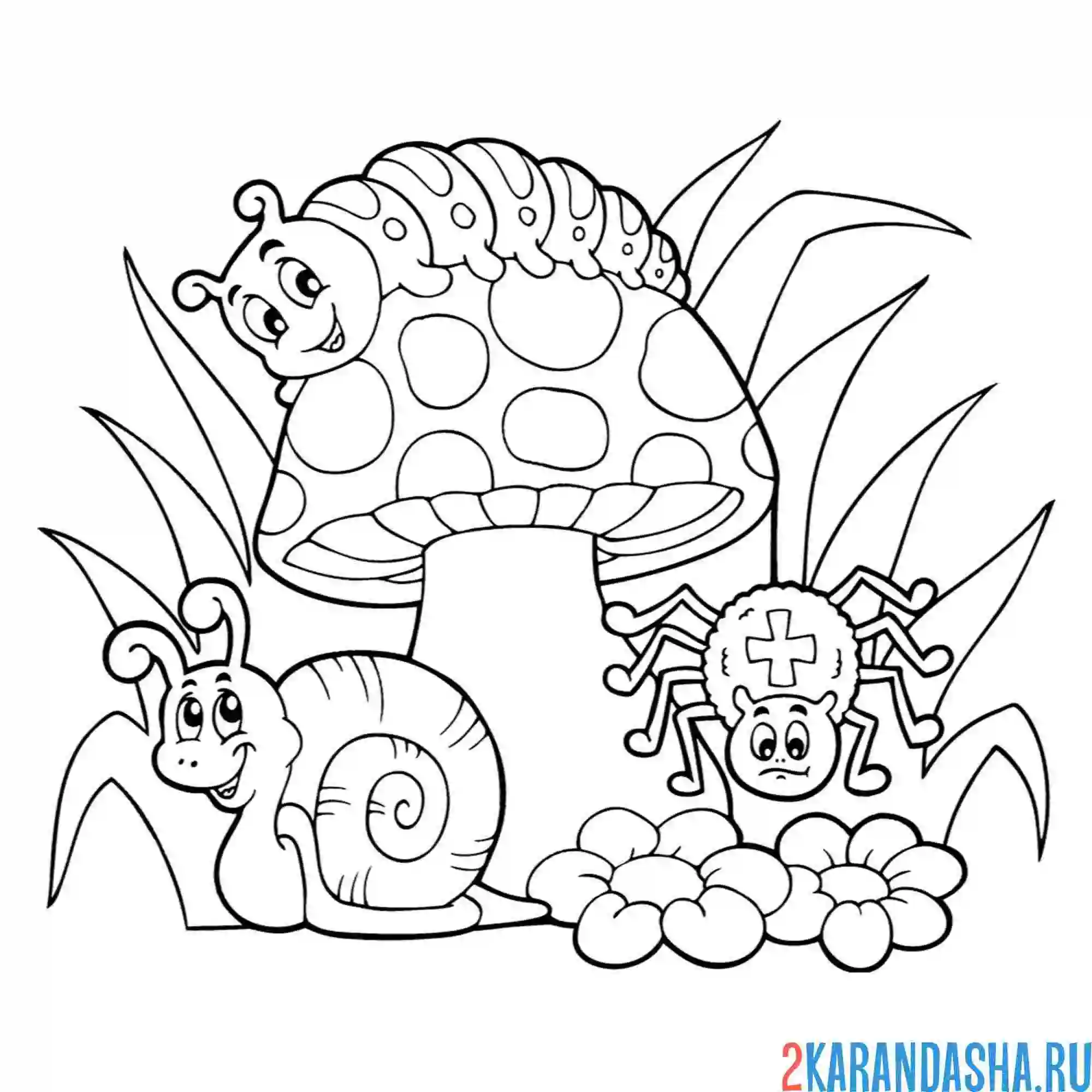 Раскраска насекомые в лесу улитка, паук, гусеница