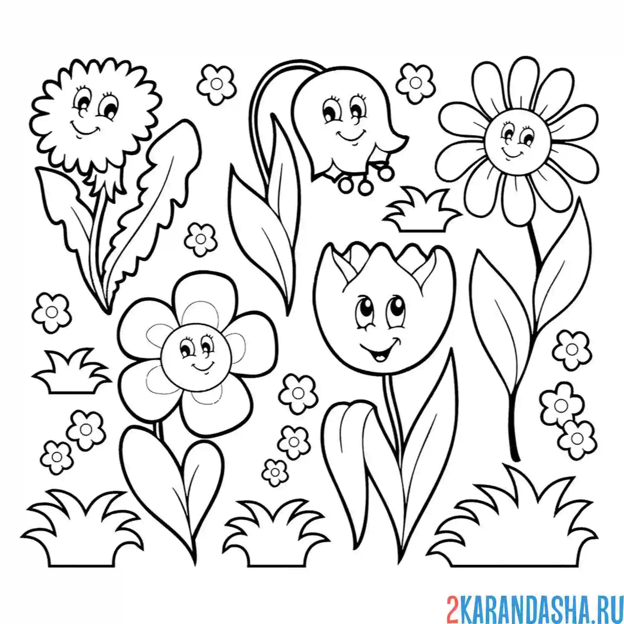 Раскраска цветы для насекомых