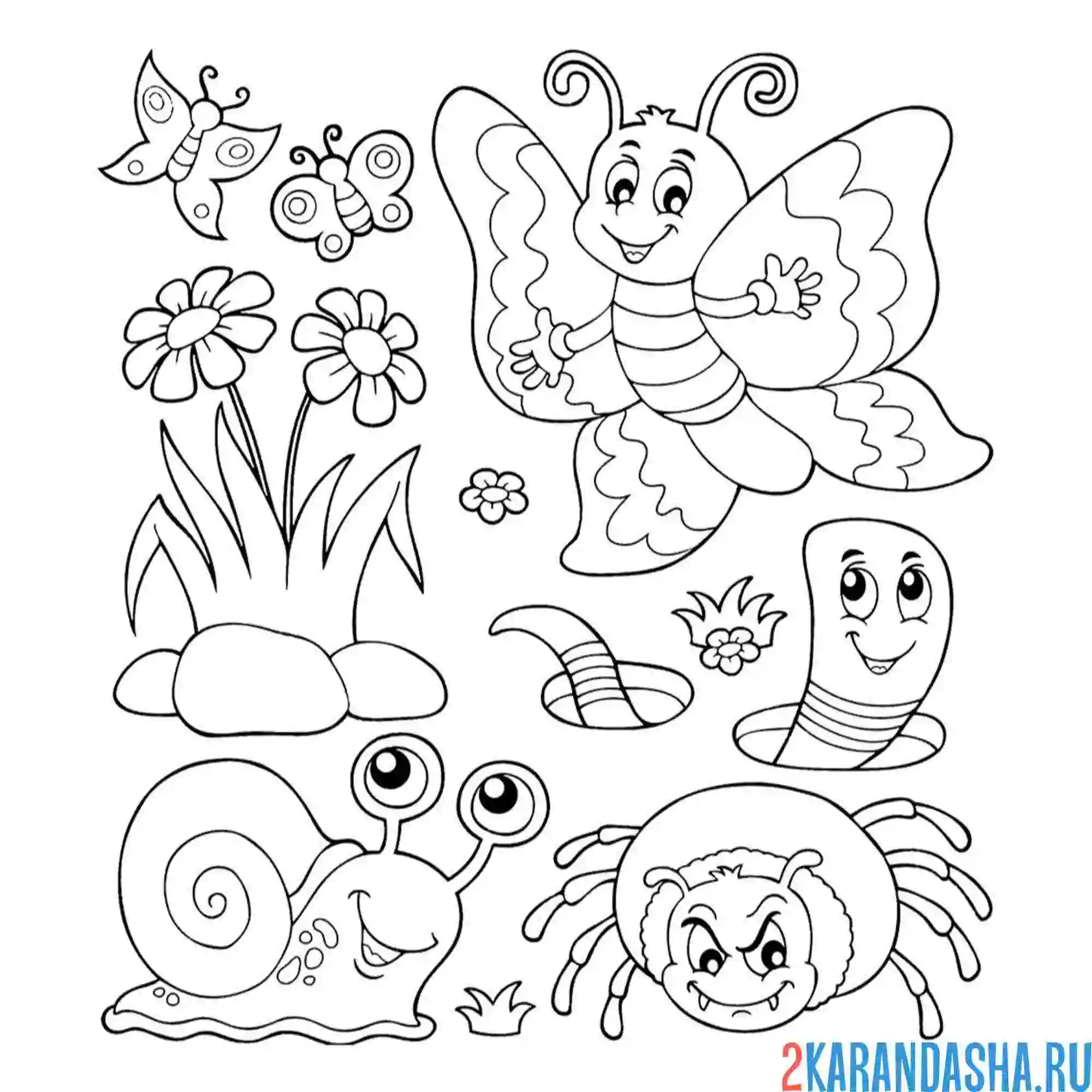 Раскраска насекомые улитка, паук, червят, бабочка