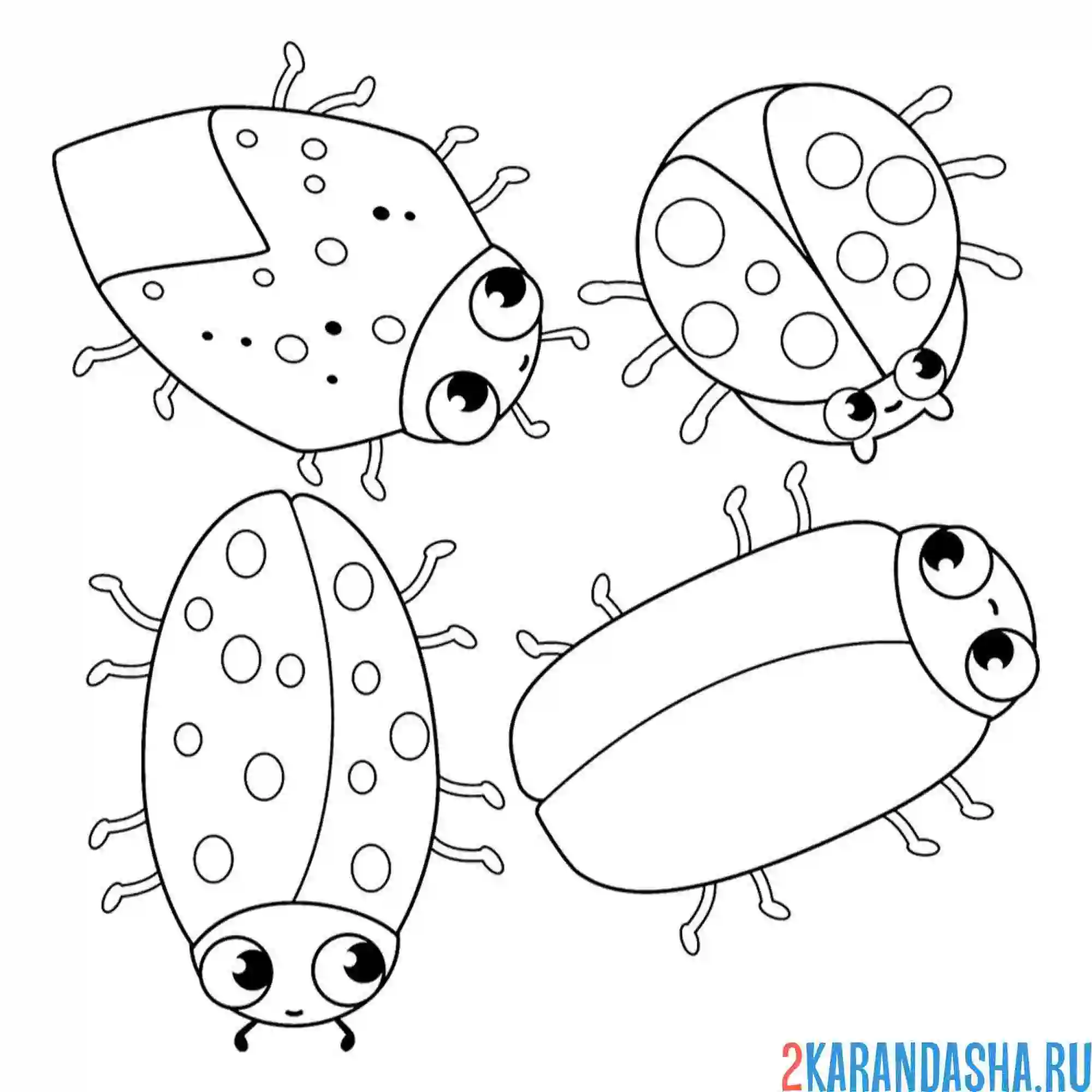 Раскраска насекомые жуки и букашки