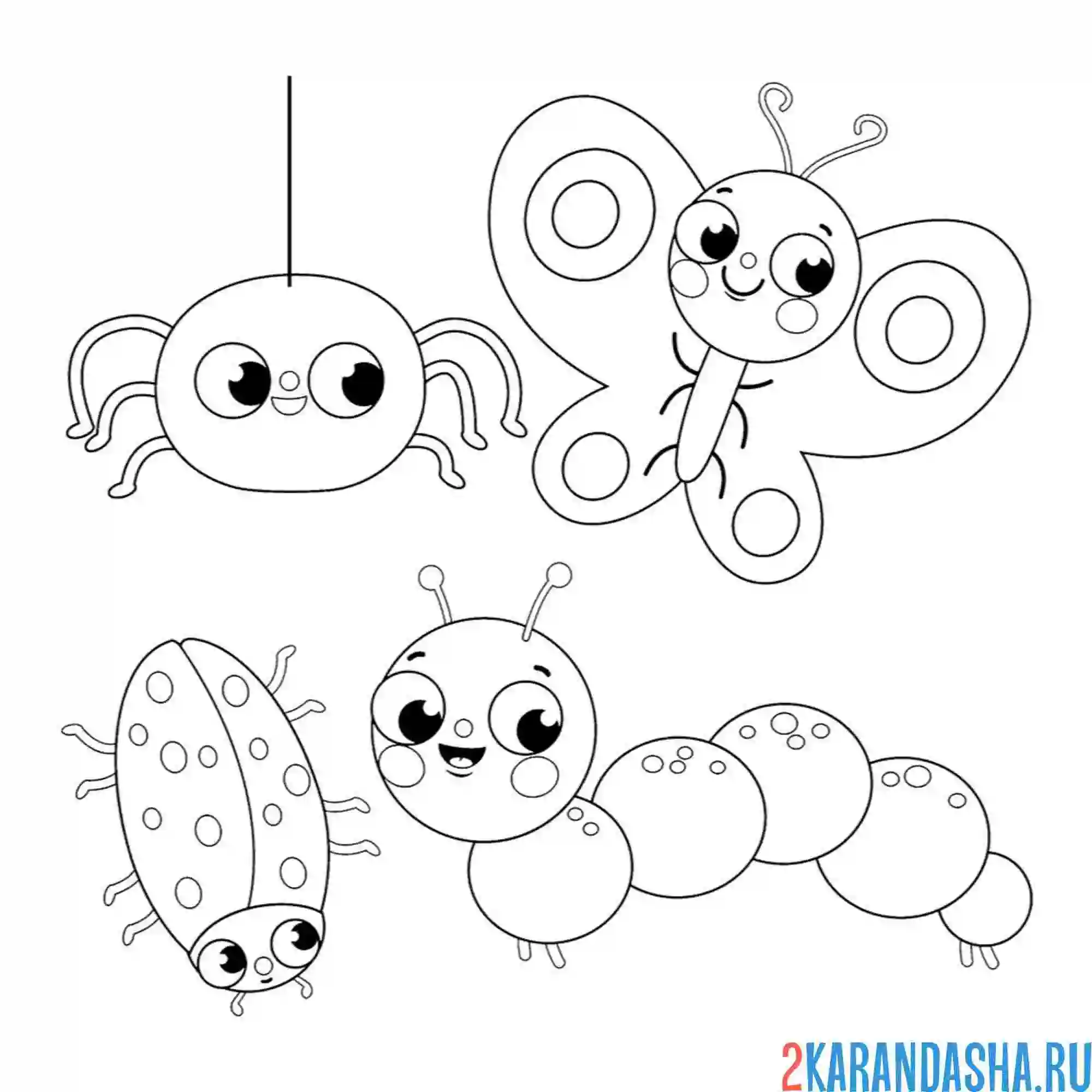 Раскраска насекомые паук, бабочка, божья коровка и гусеница