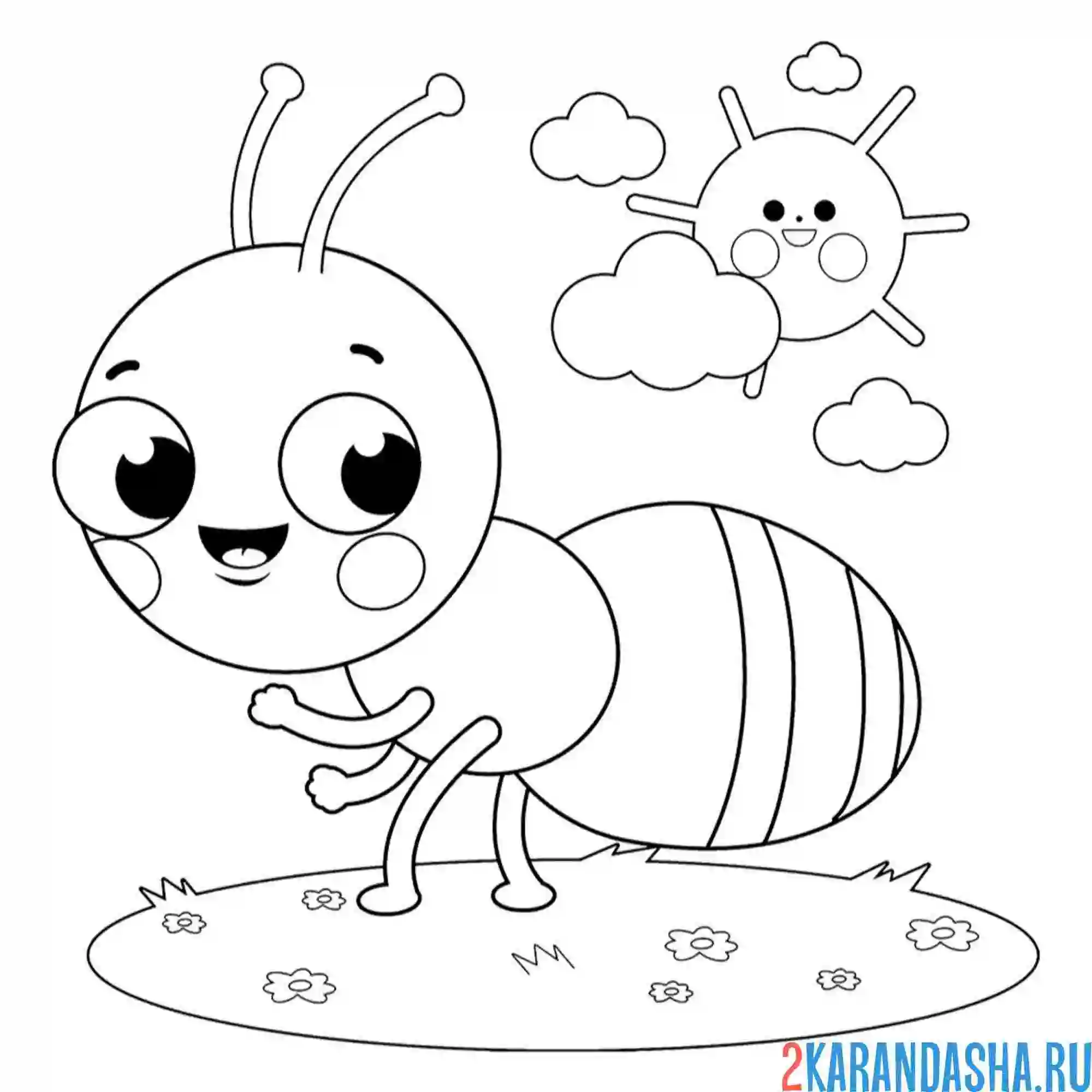 Раскраска муравей насекомое