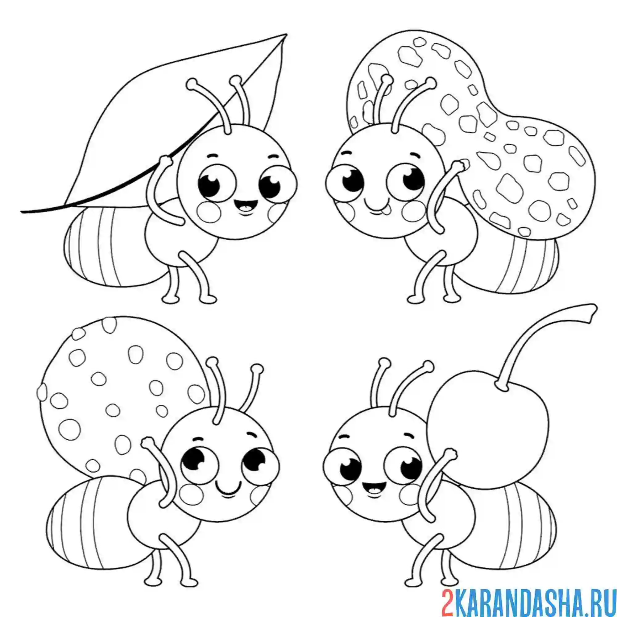 Раскраска насекомые муравьи заняты делом