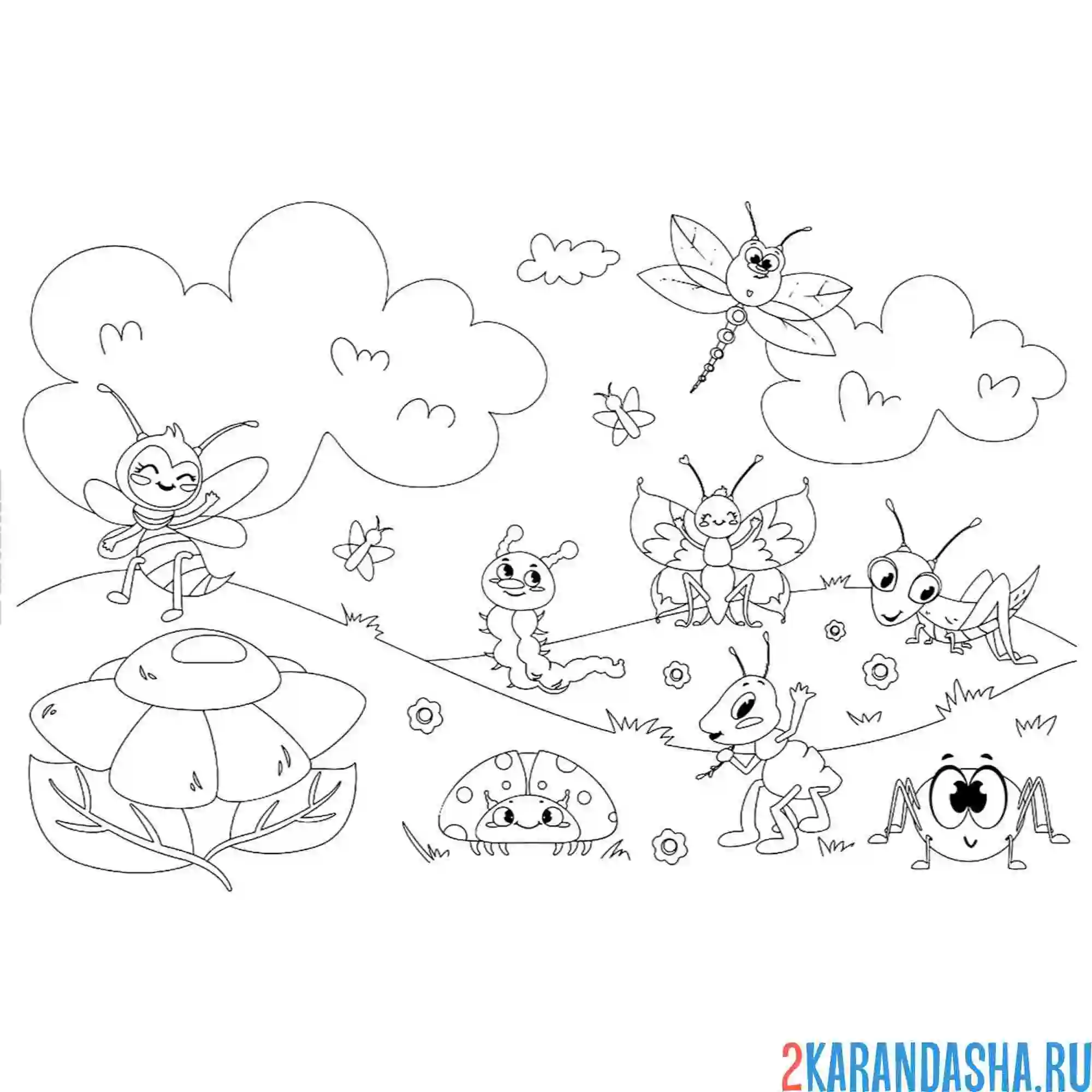 Раскраска насекомые в лесу