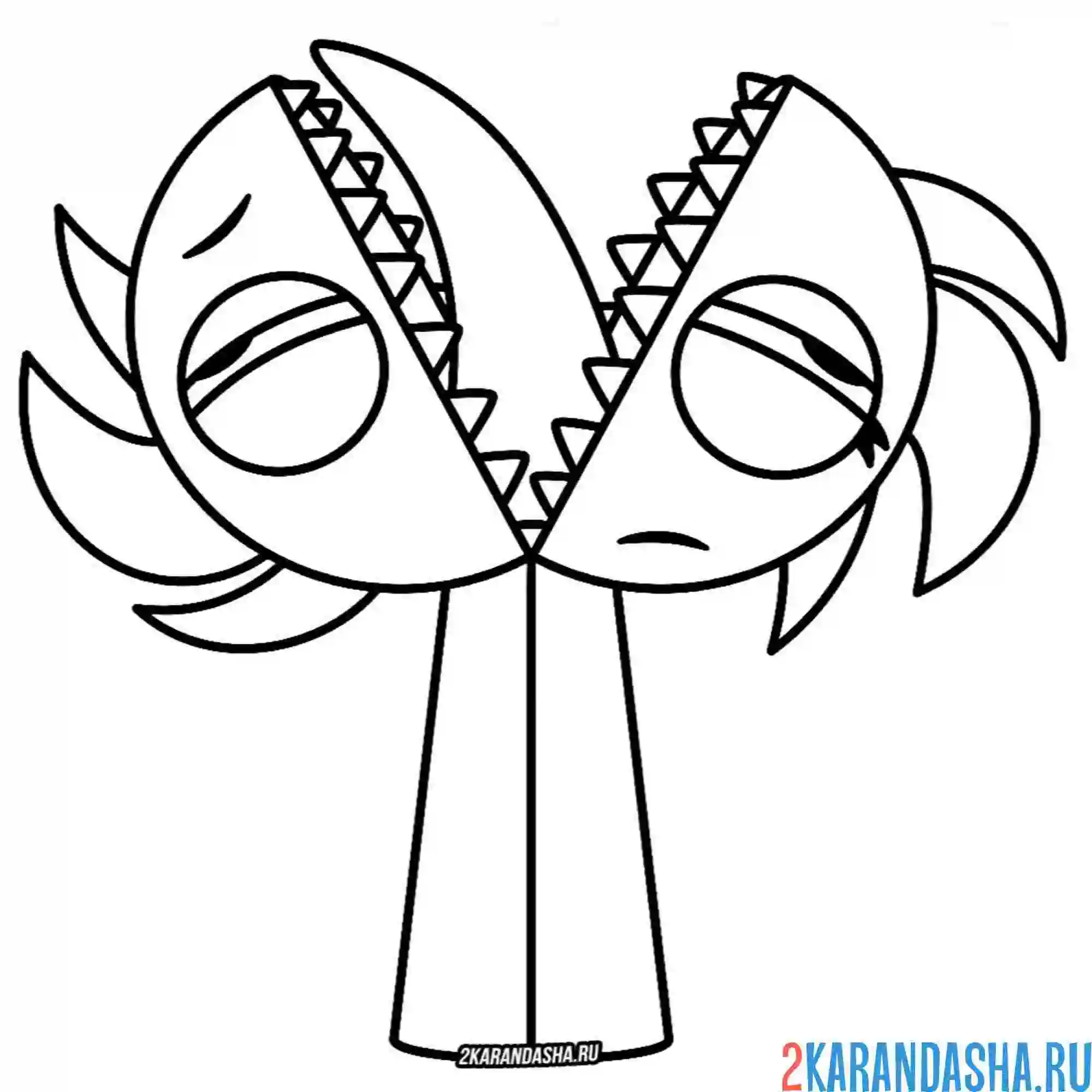 Раскраска спрунки семихеми