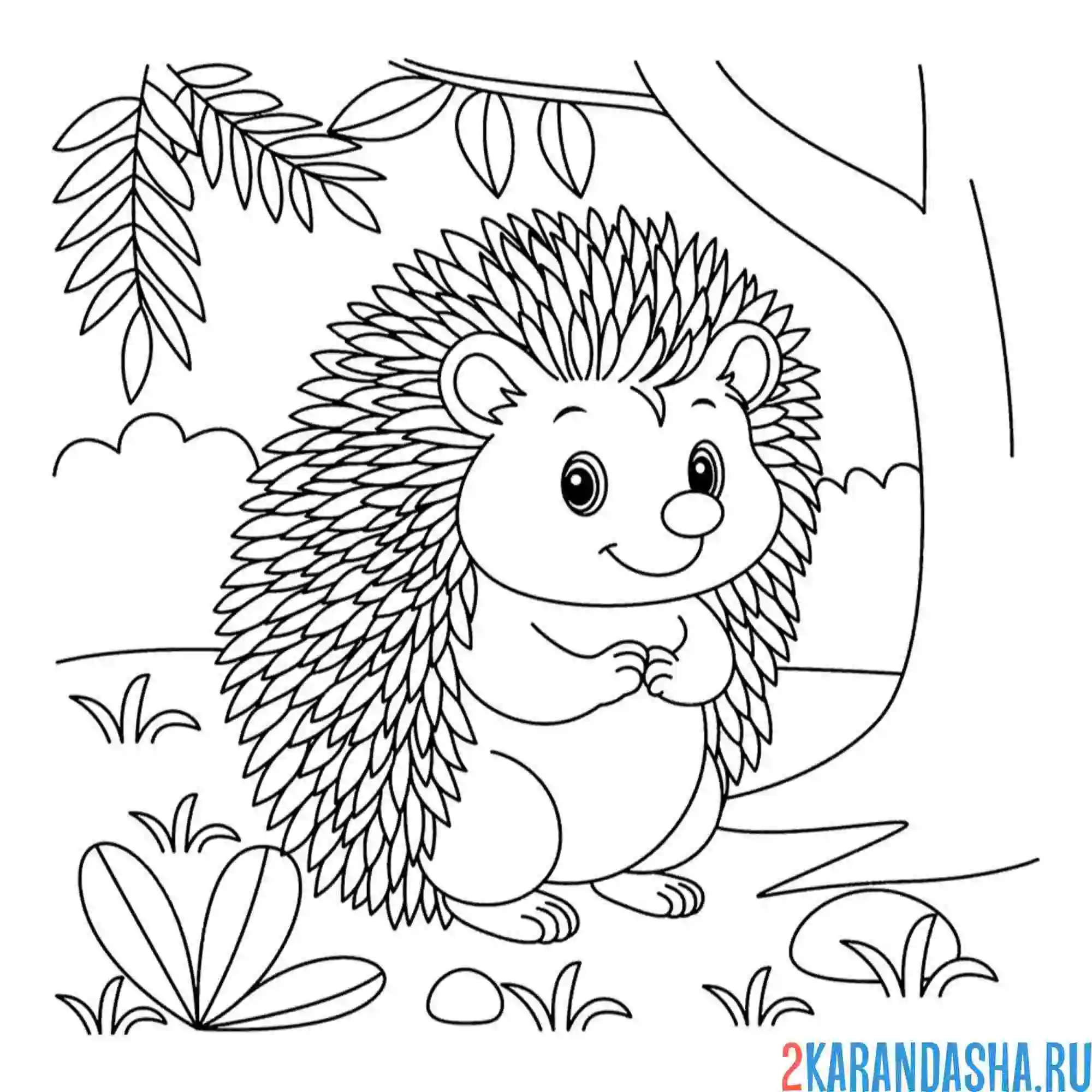 Раскраска ежик в лесу под летним деревом