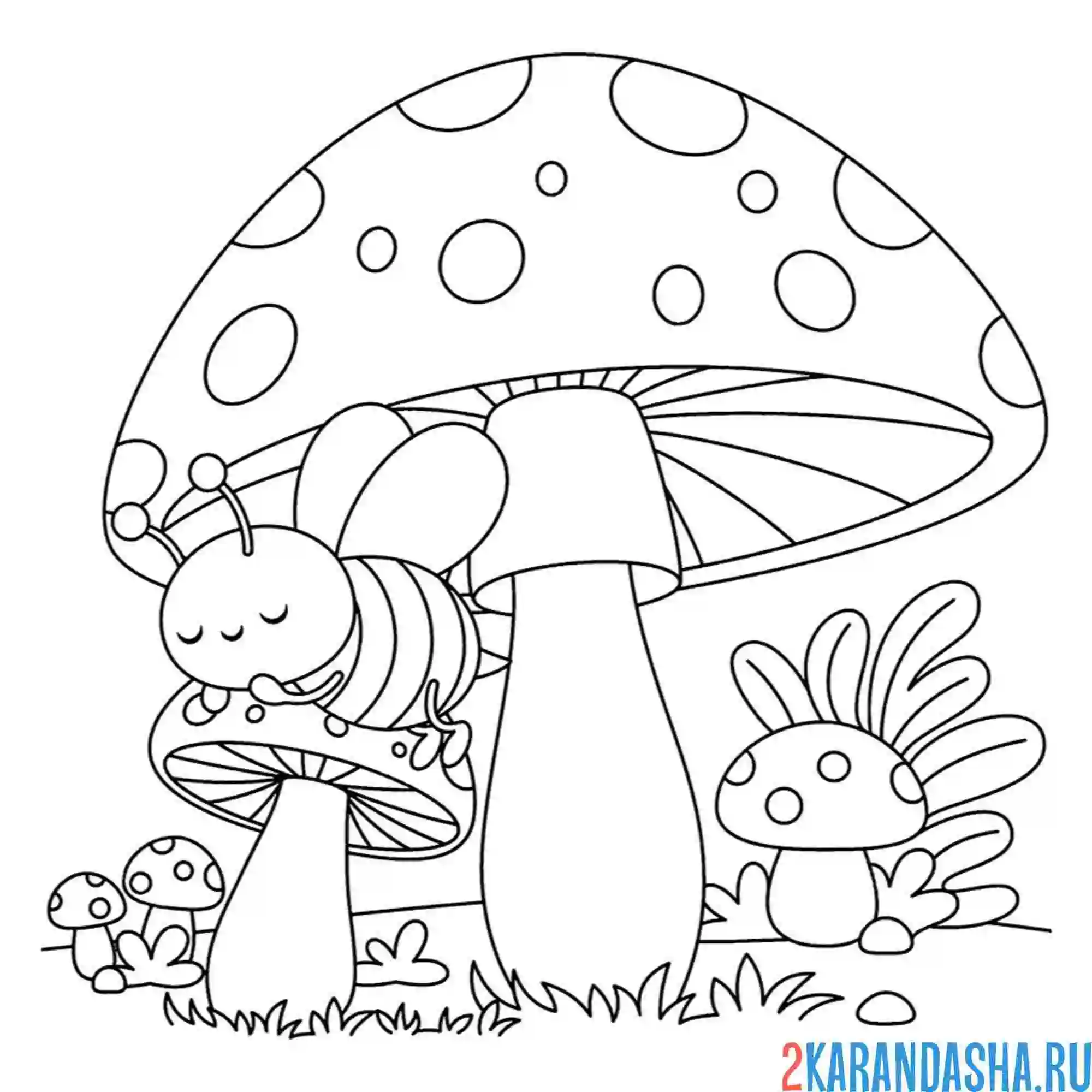 Раскраска насекомые лето