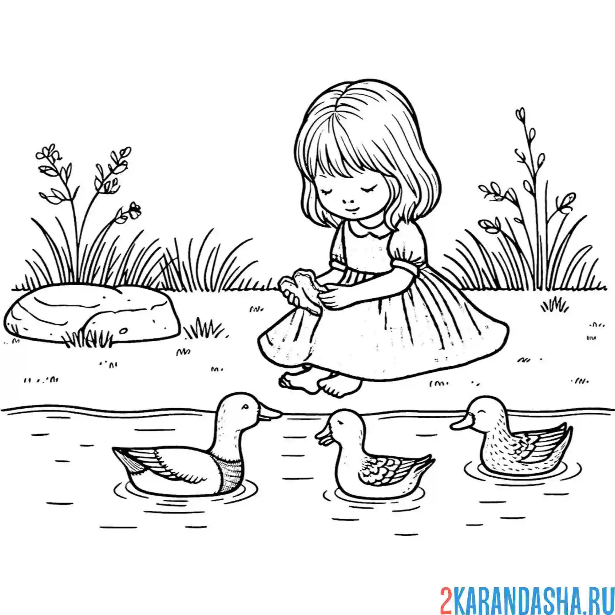 Раскраска девочка кормит уток лето