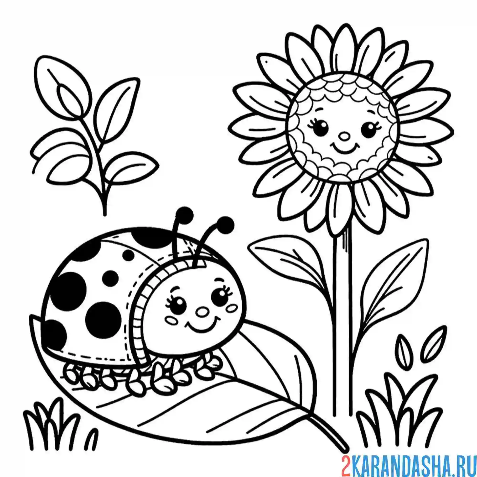 Раскраска божья коровка подсолнух и лето
