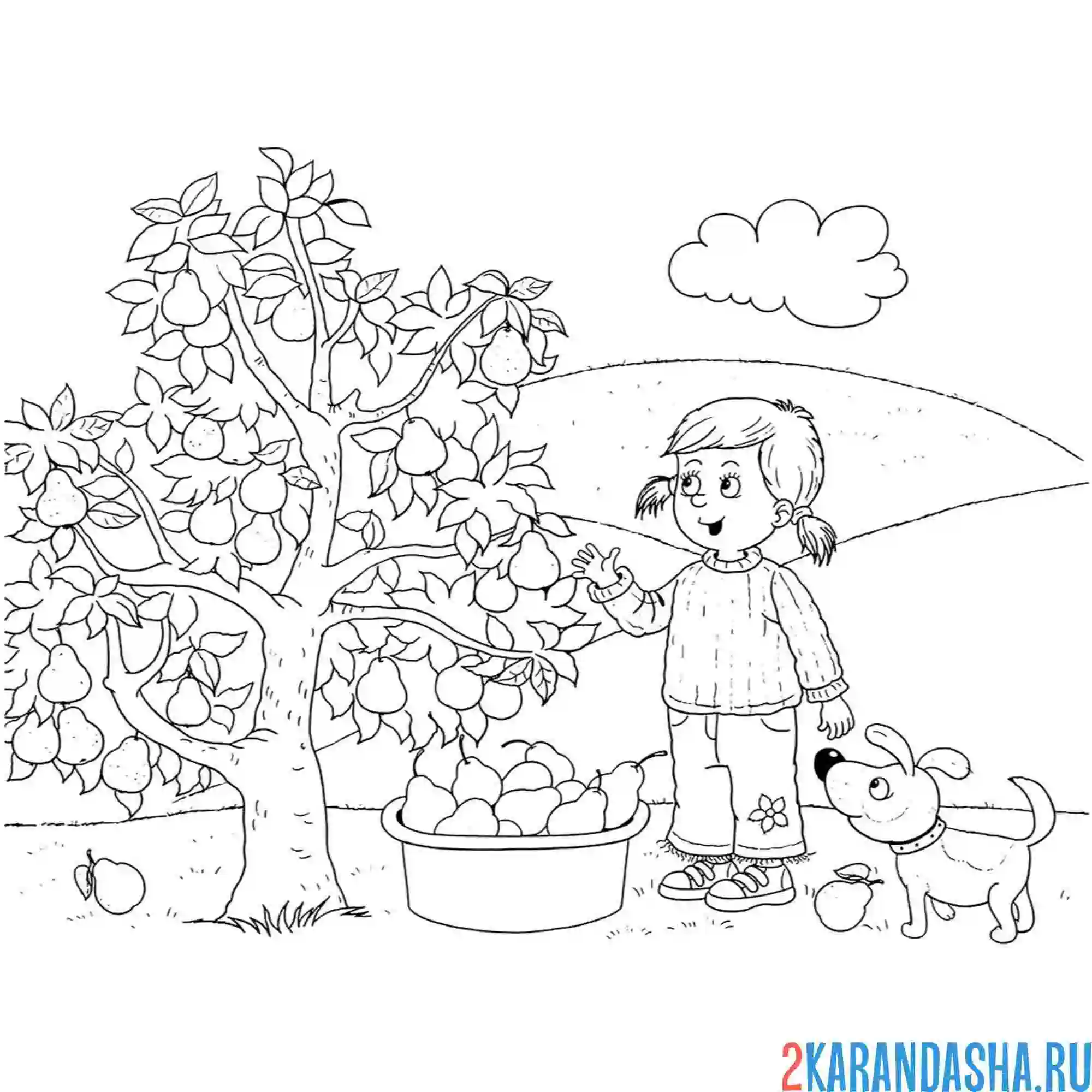 Раскраска времена года лето жаркое