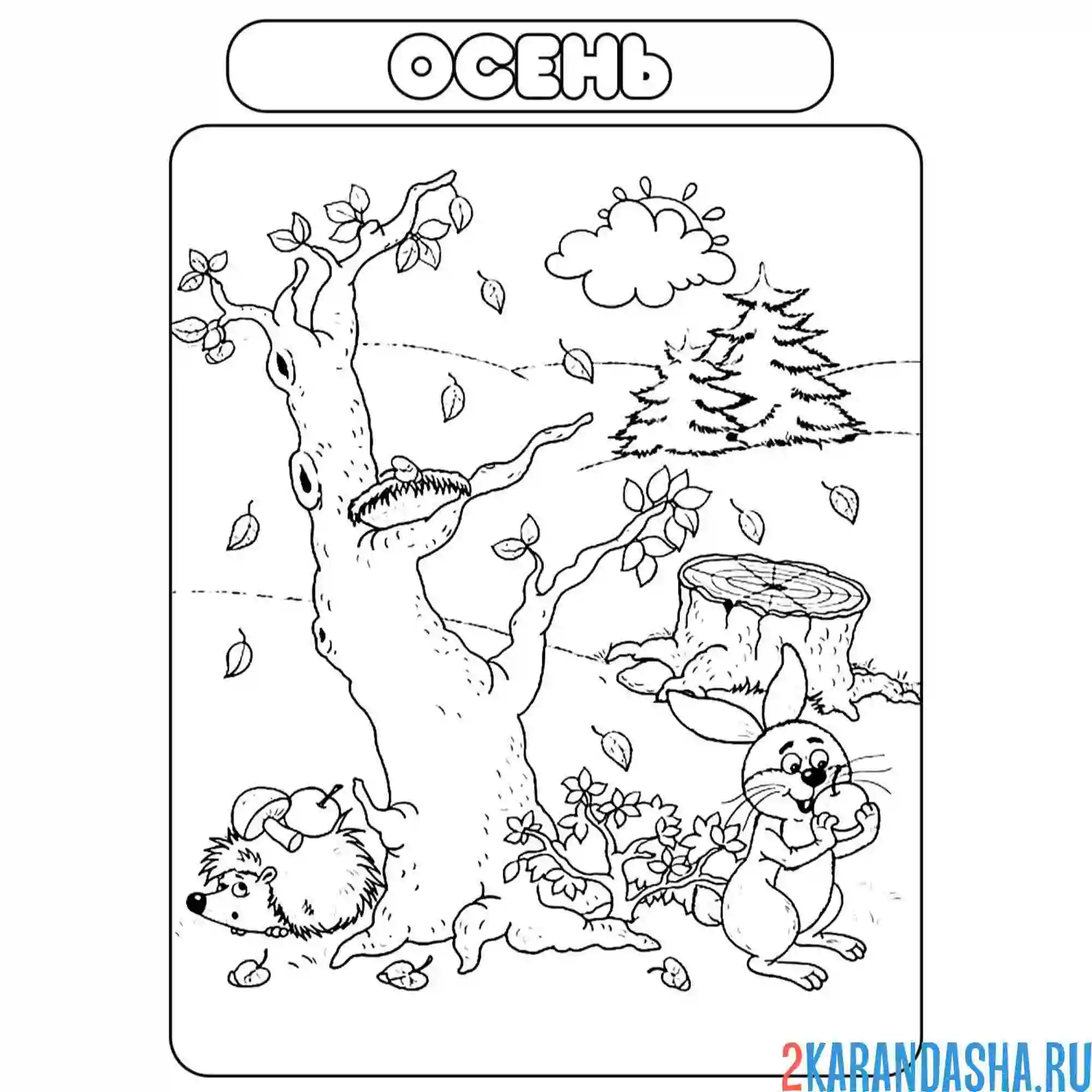 Раскраска осень теплая времена года