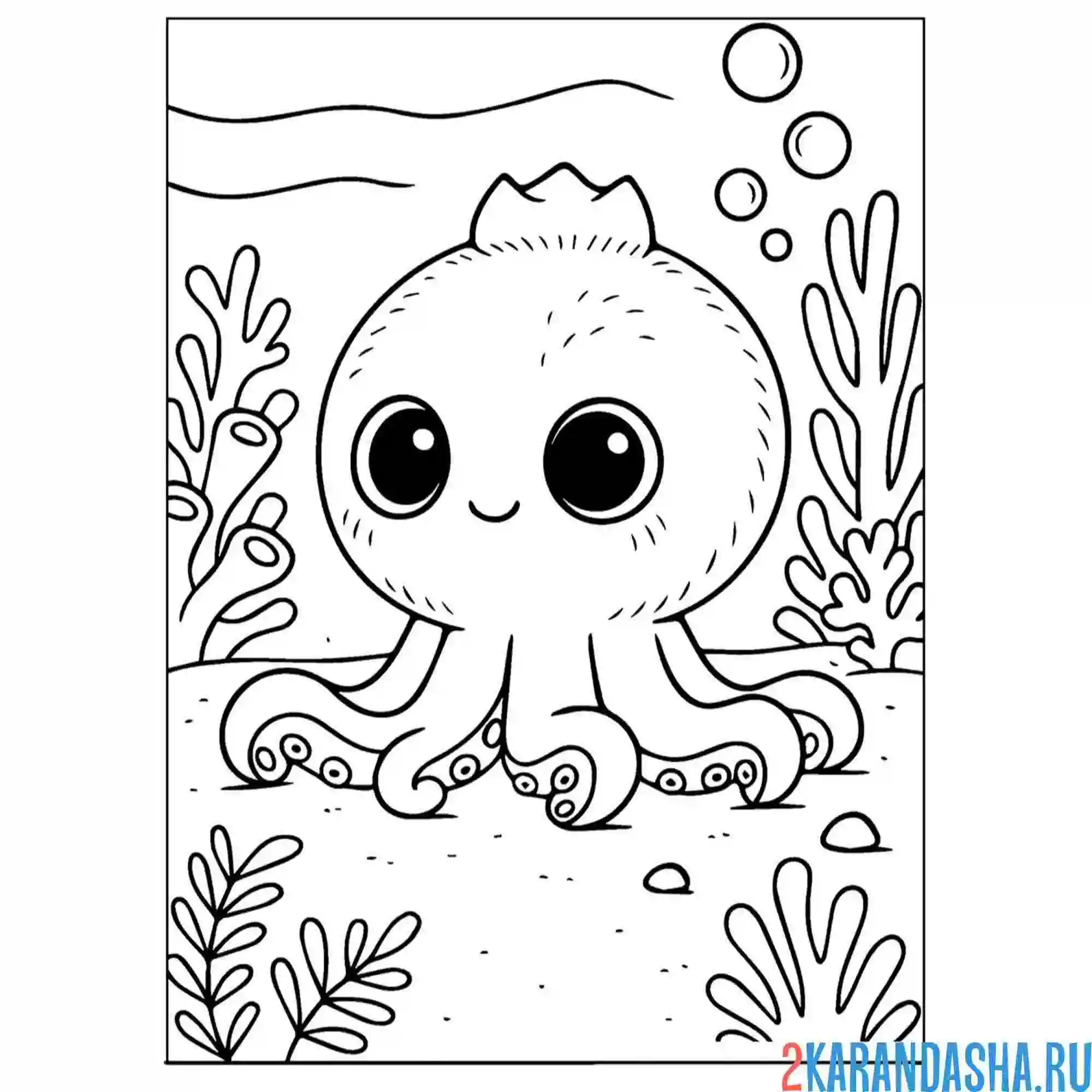 Раскраска итальянские животные с осьминогом