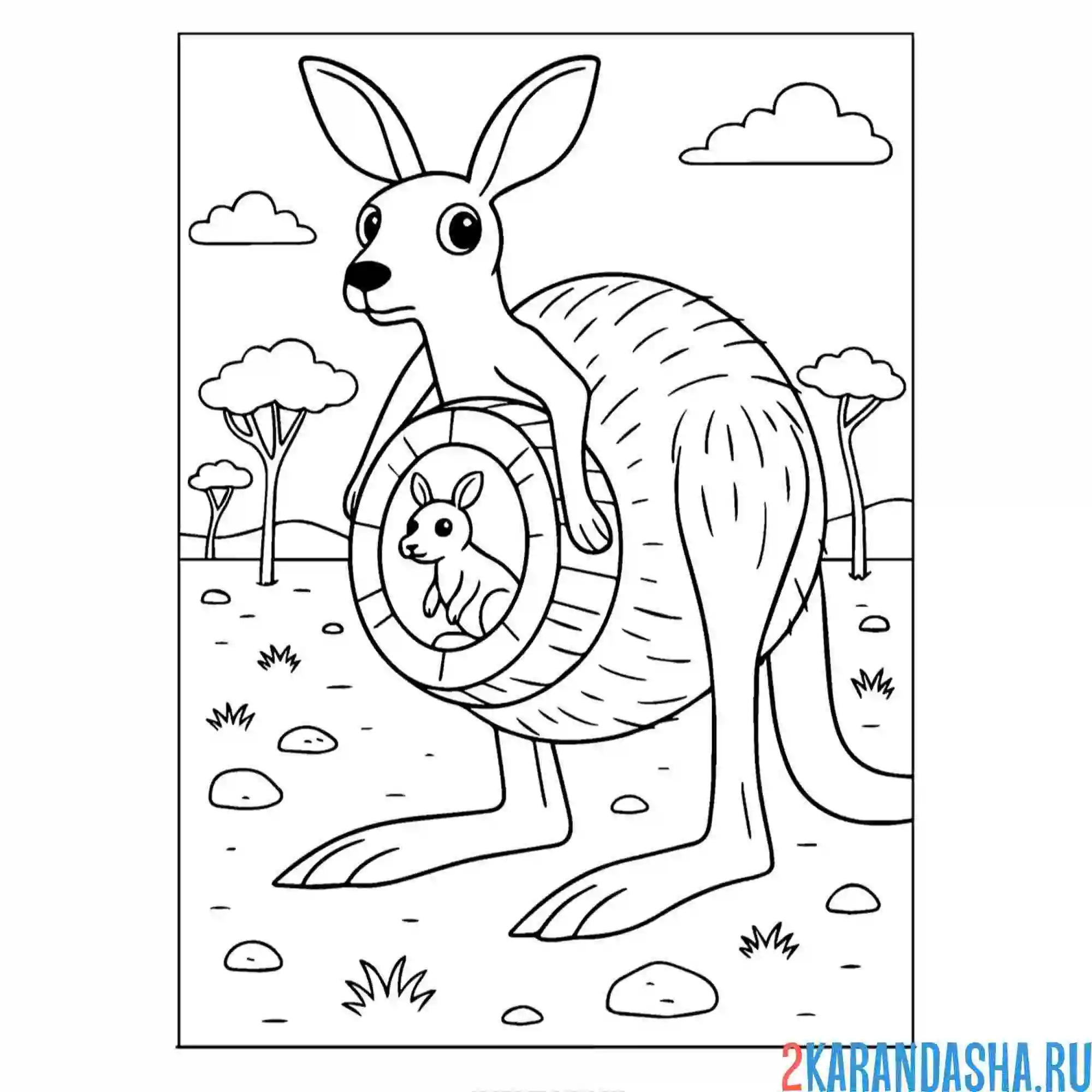 Раскраска кокосини-кенгуру-мама