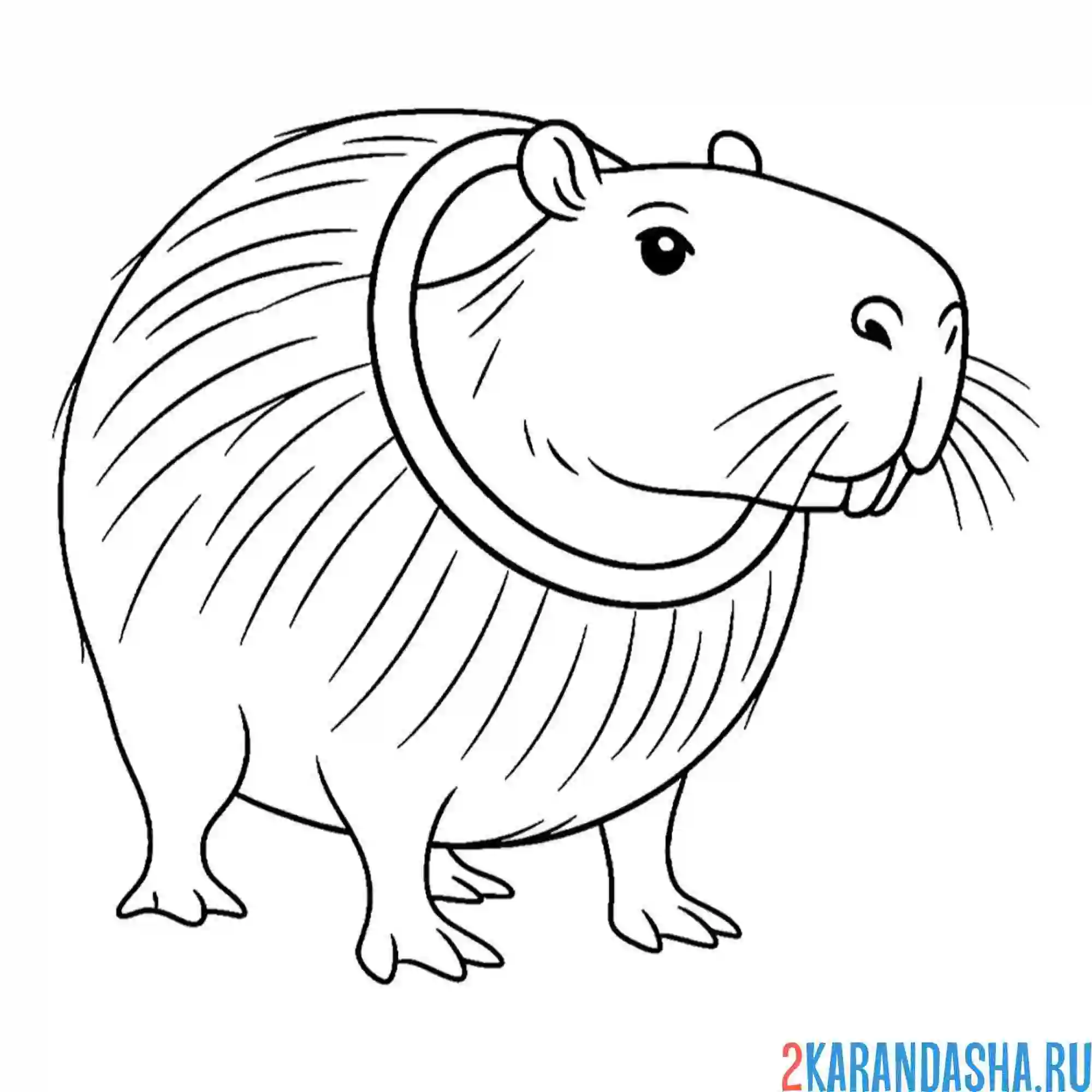 Раскраска бурбалони лулиоли итальянские