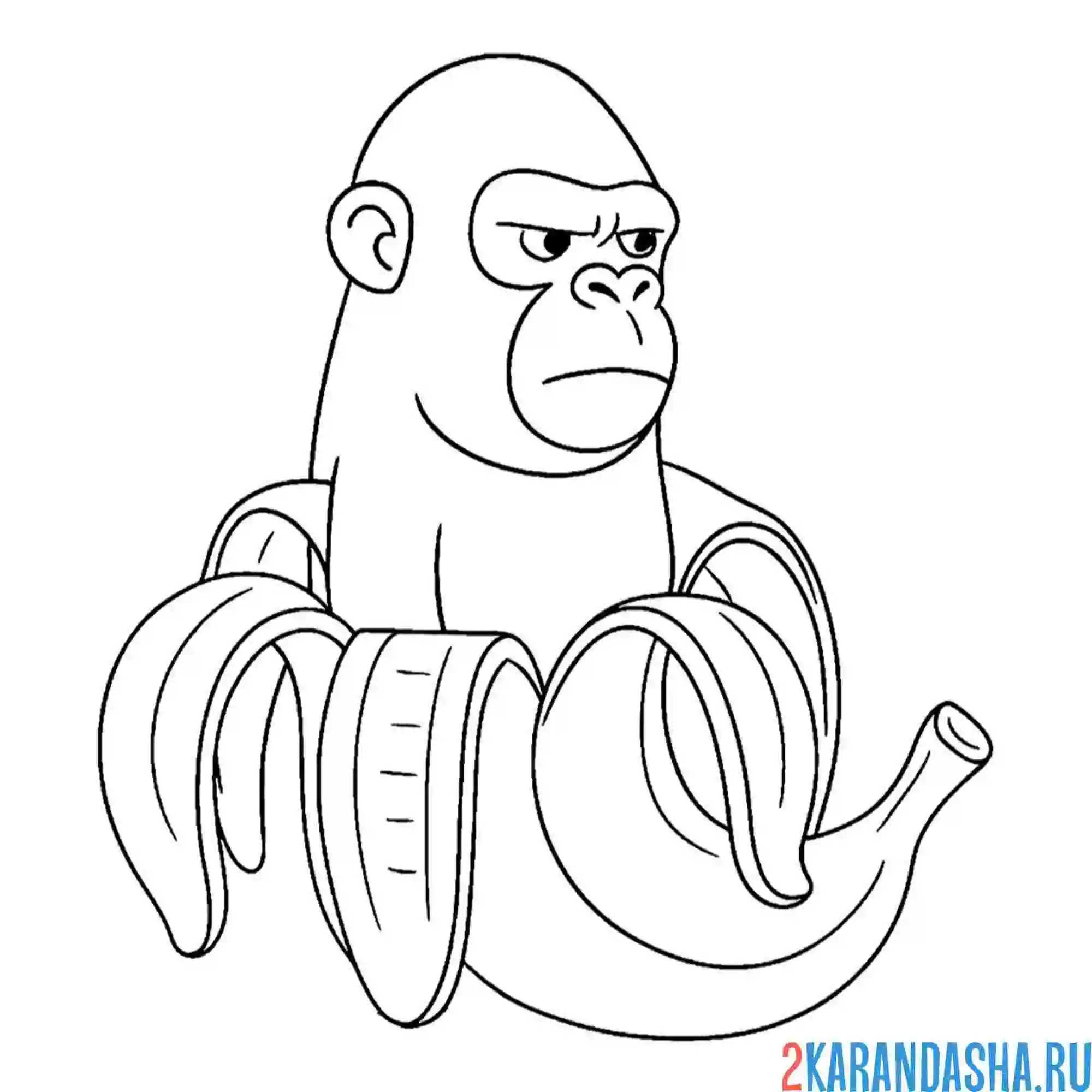 Раскраска шимпанзини бананини