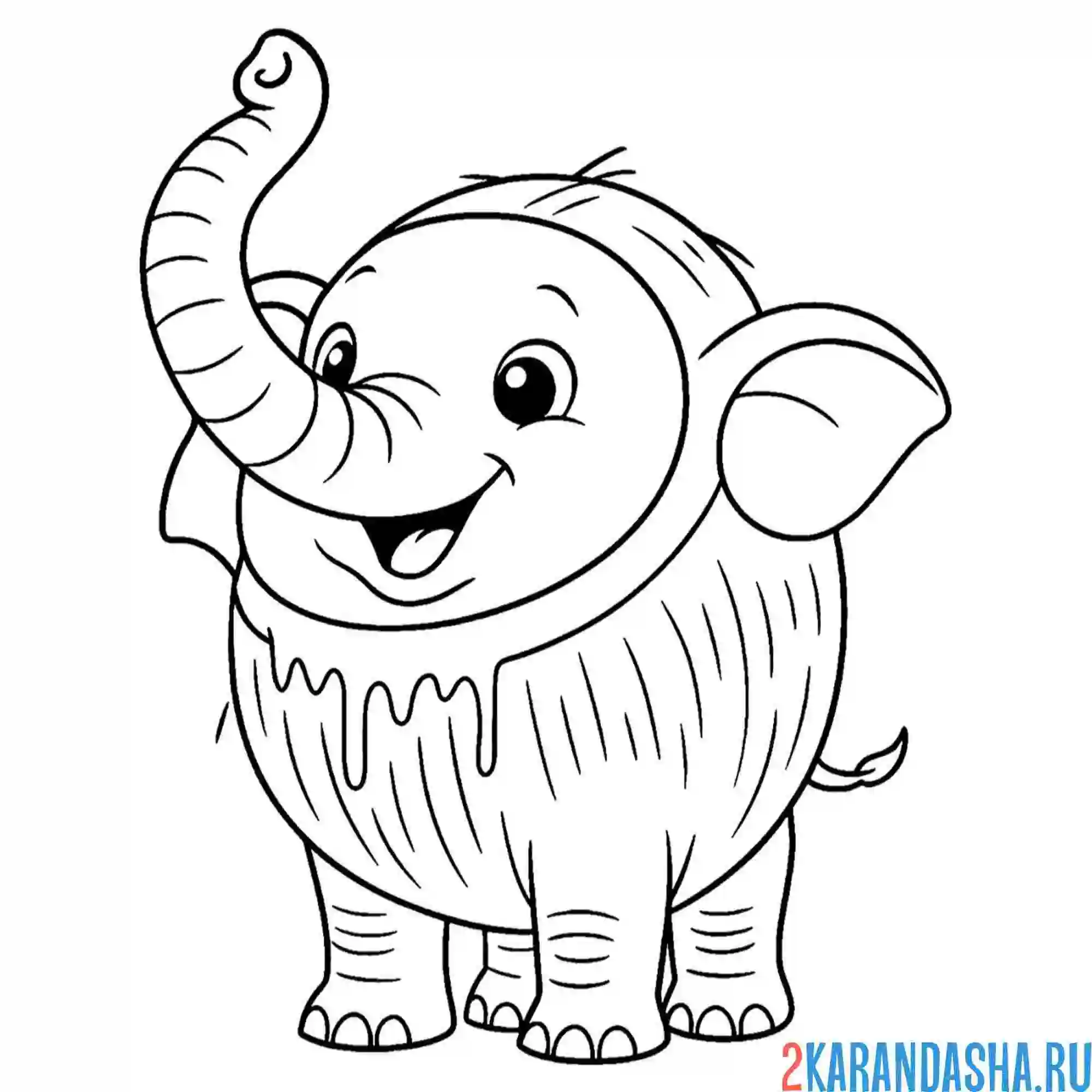 Раскраска кокофанто элефанто
