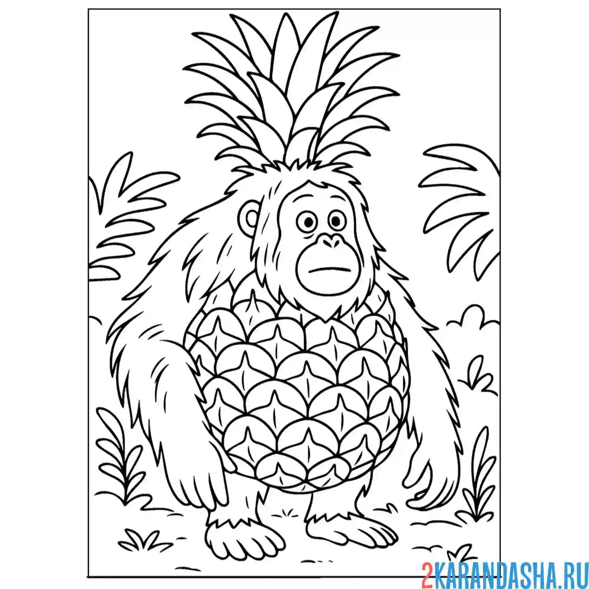 Раскраска орангутини ананасини итальянские животные