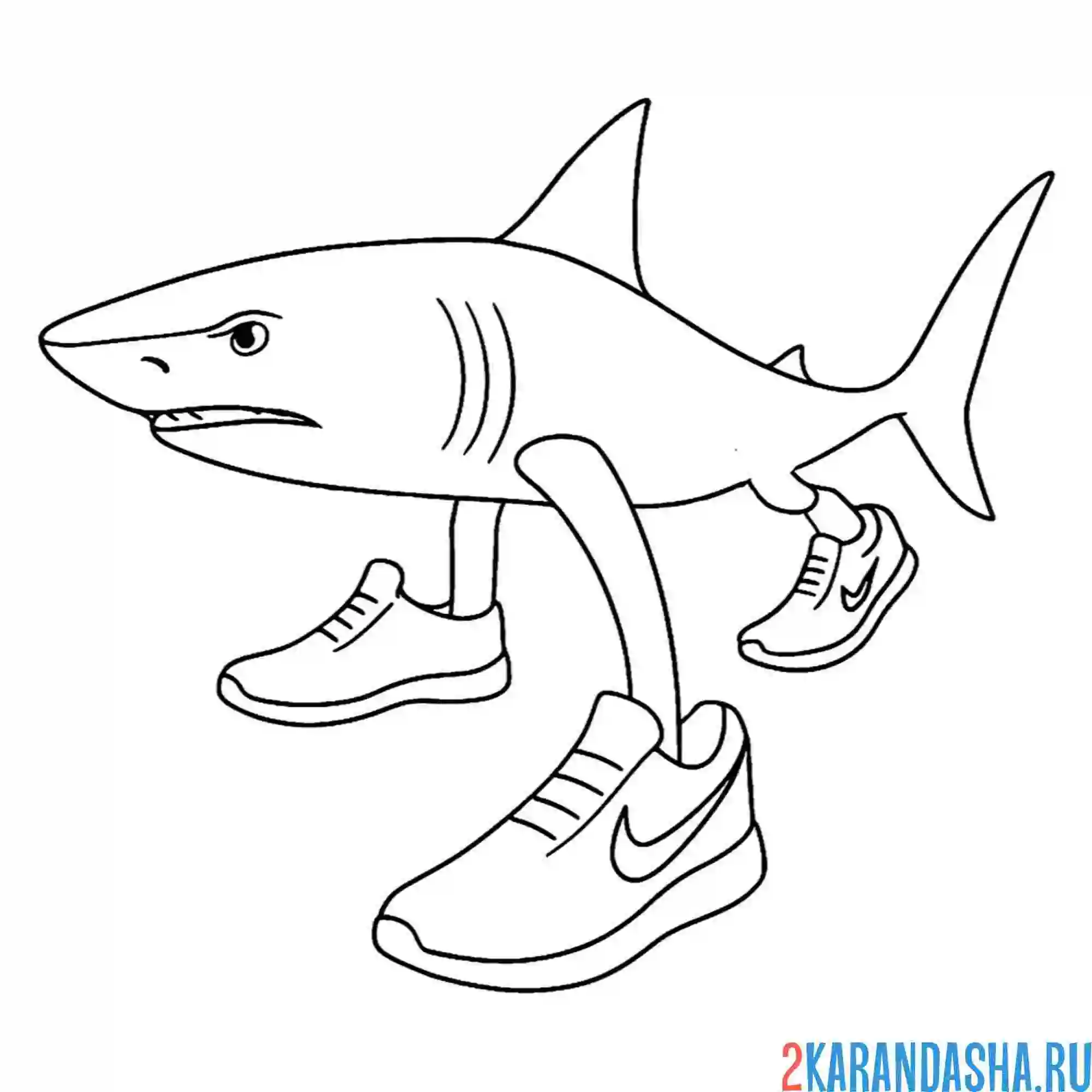 Раскраска тралалеро тралала акула