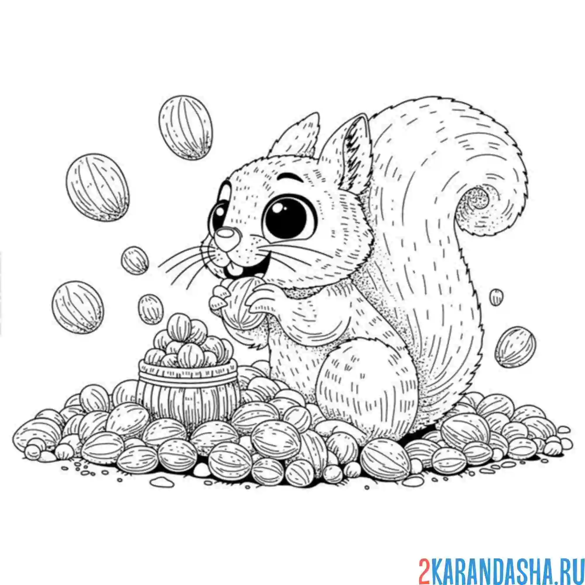 Раскраска белка радостная и орешки