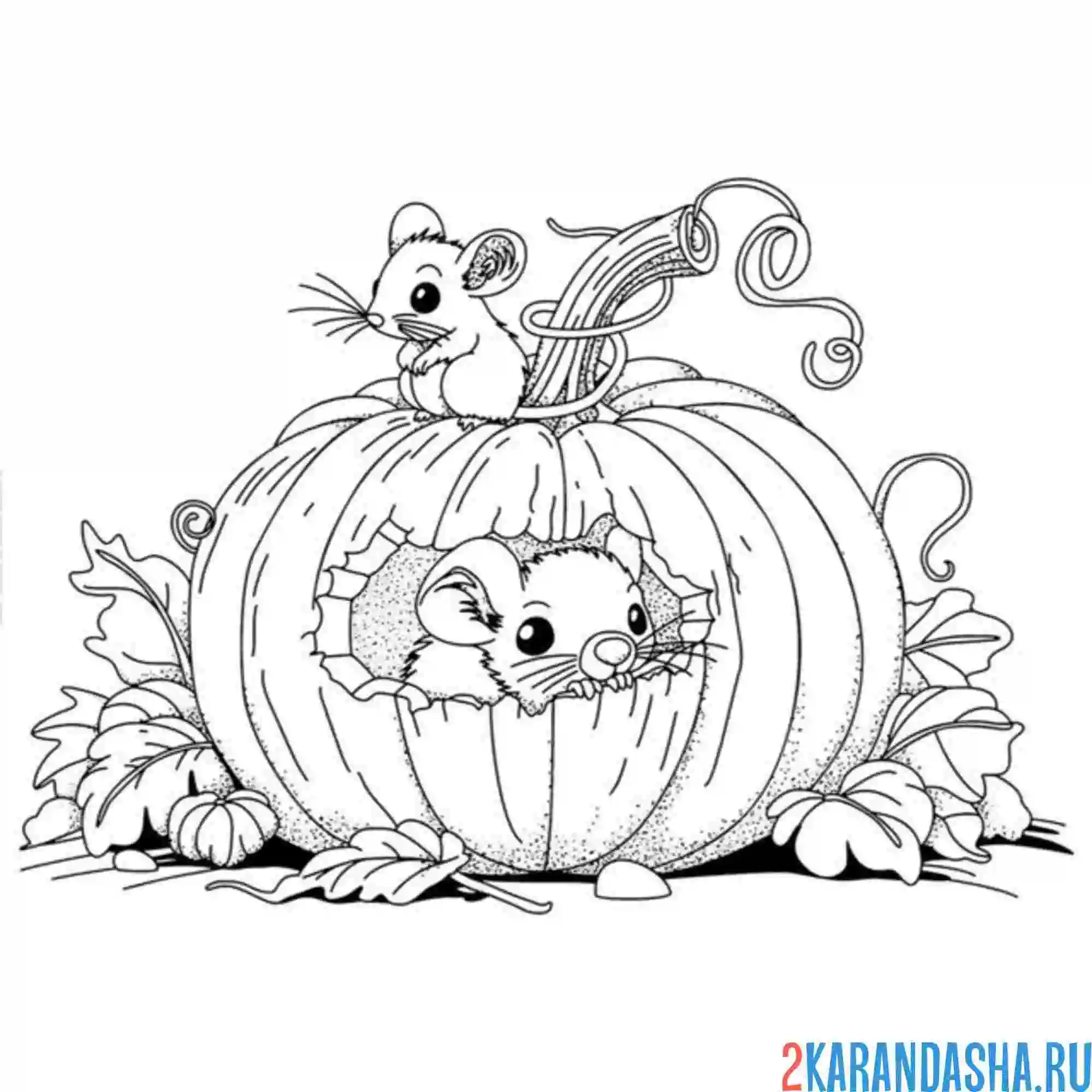 Раскраска мышки и тыква на хэллоуин