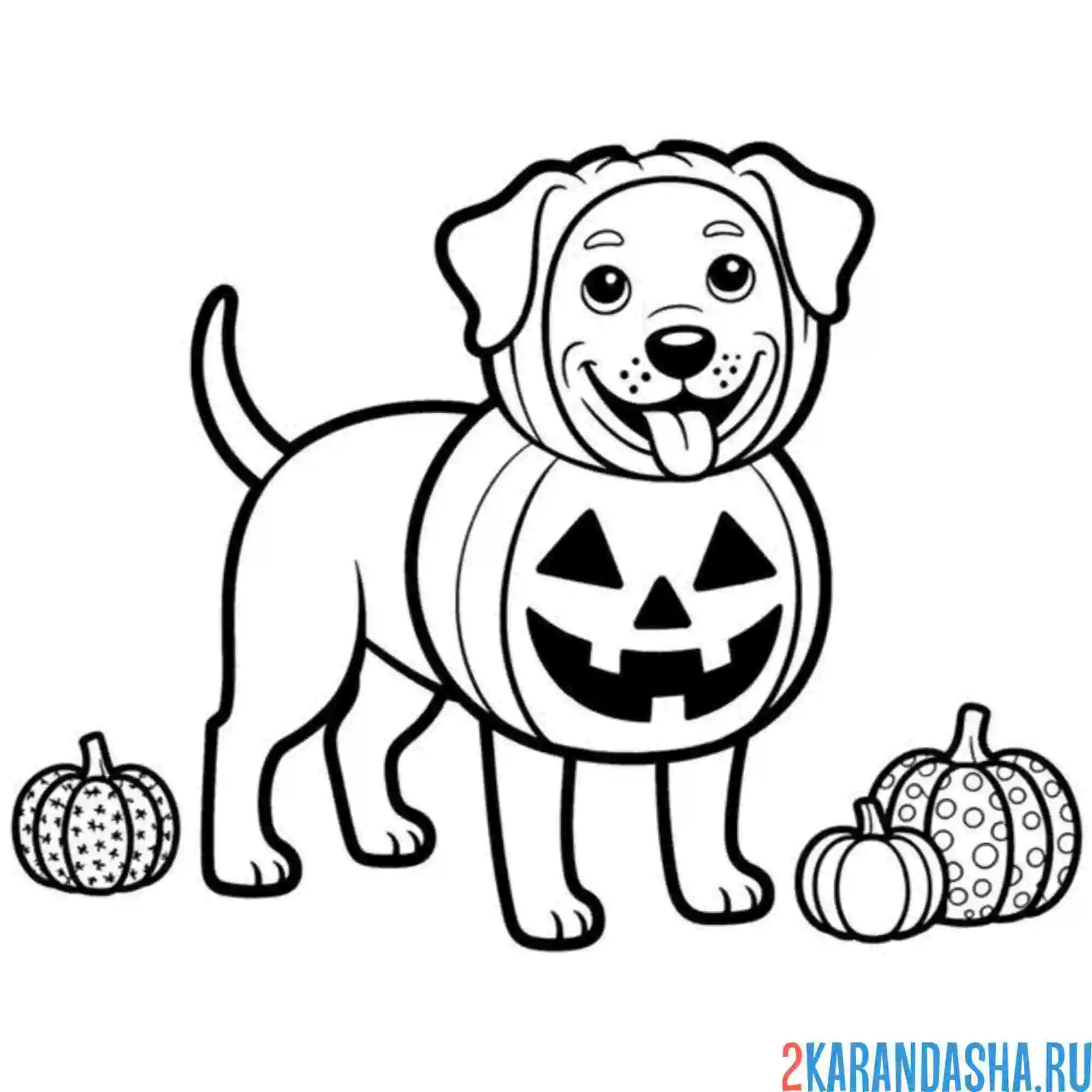 Раскраска собака тыква хэллоуин