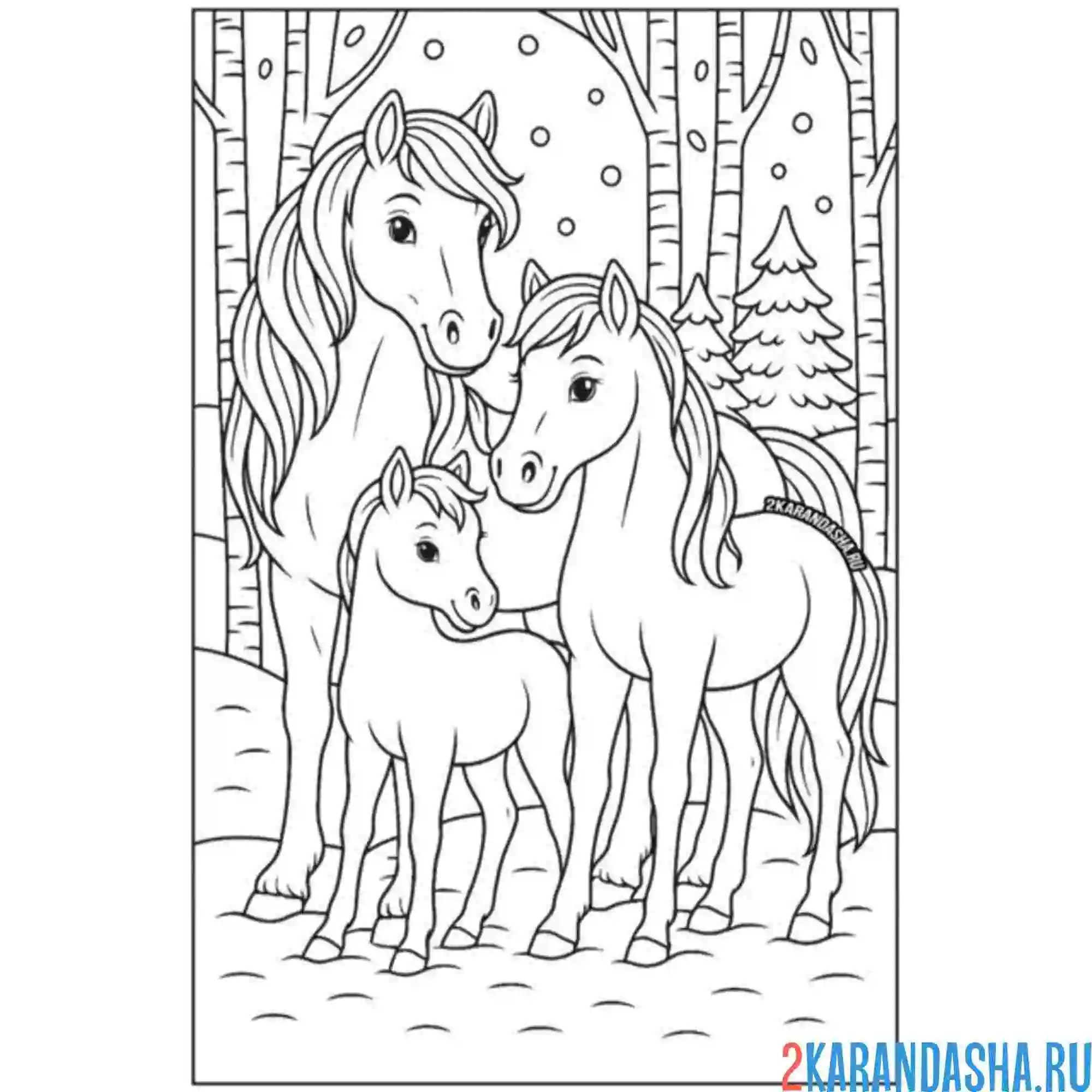 Раскраска семья лошадей