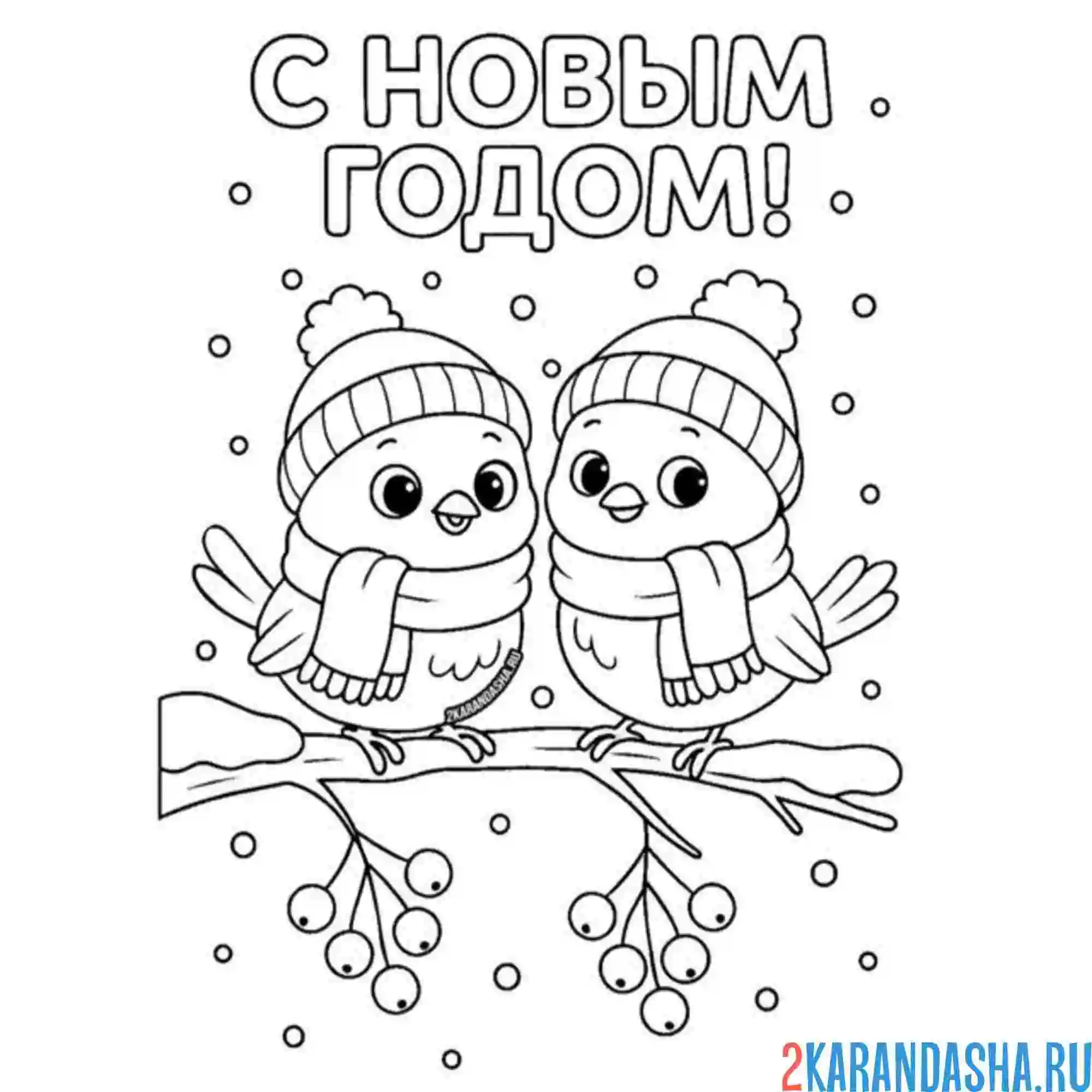 Раскраска птички новогодние на ветке
