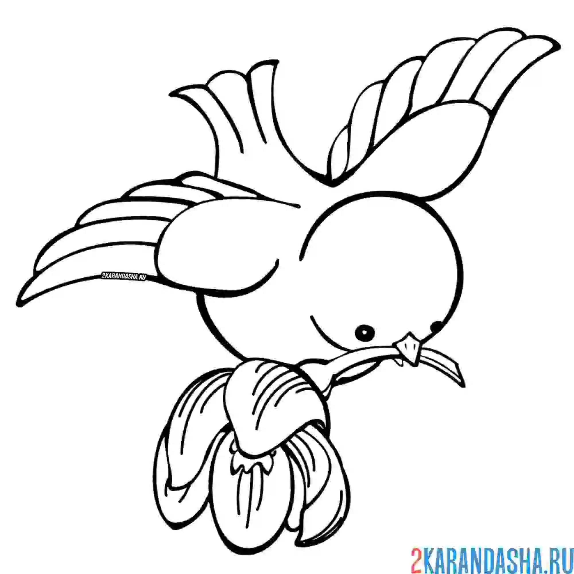 Раскраска птичка с цветком