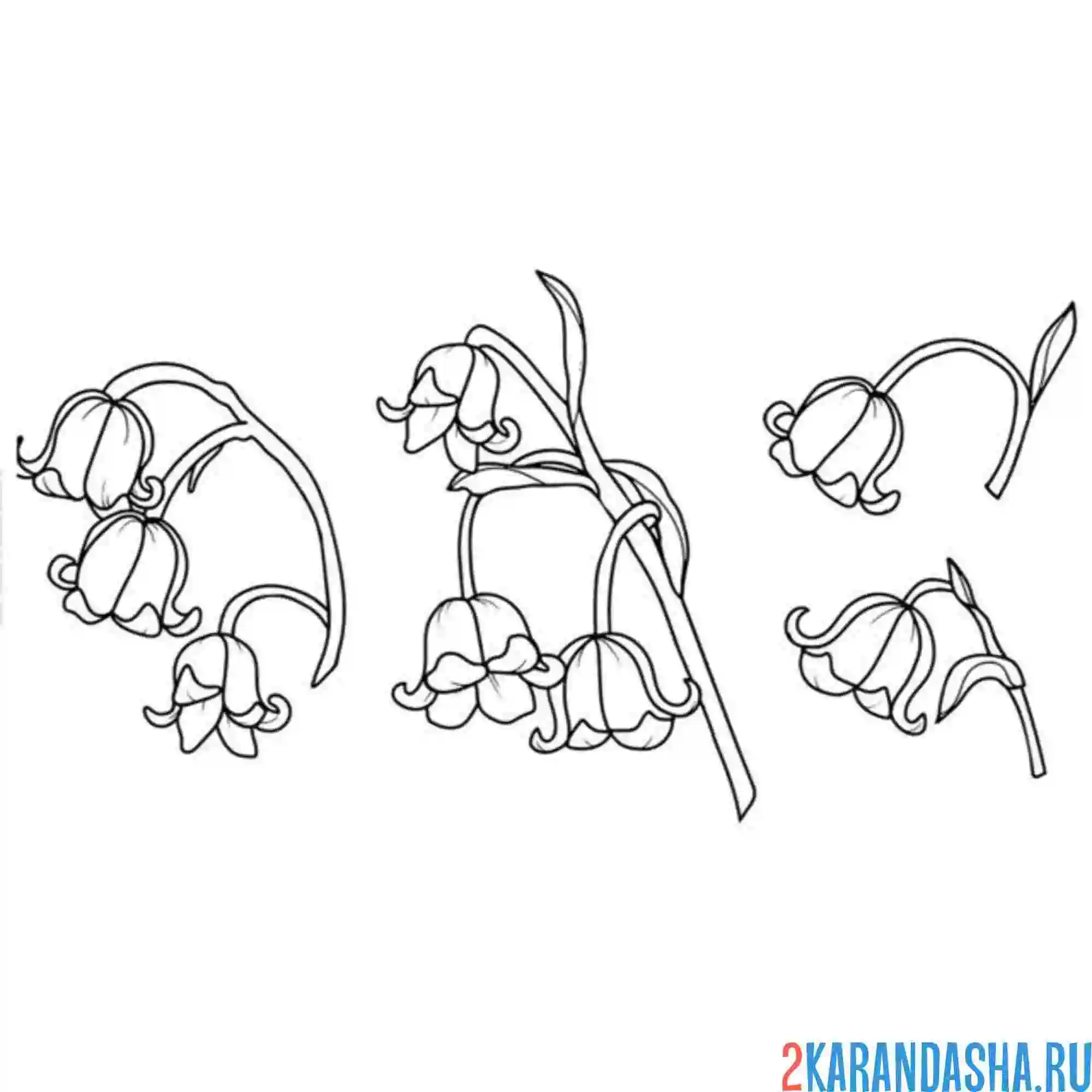 Раскраска ландыши малыши