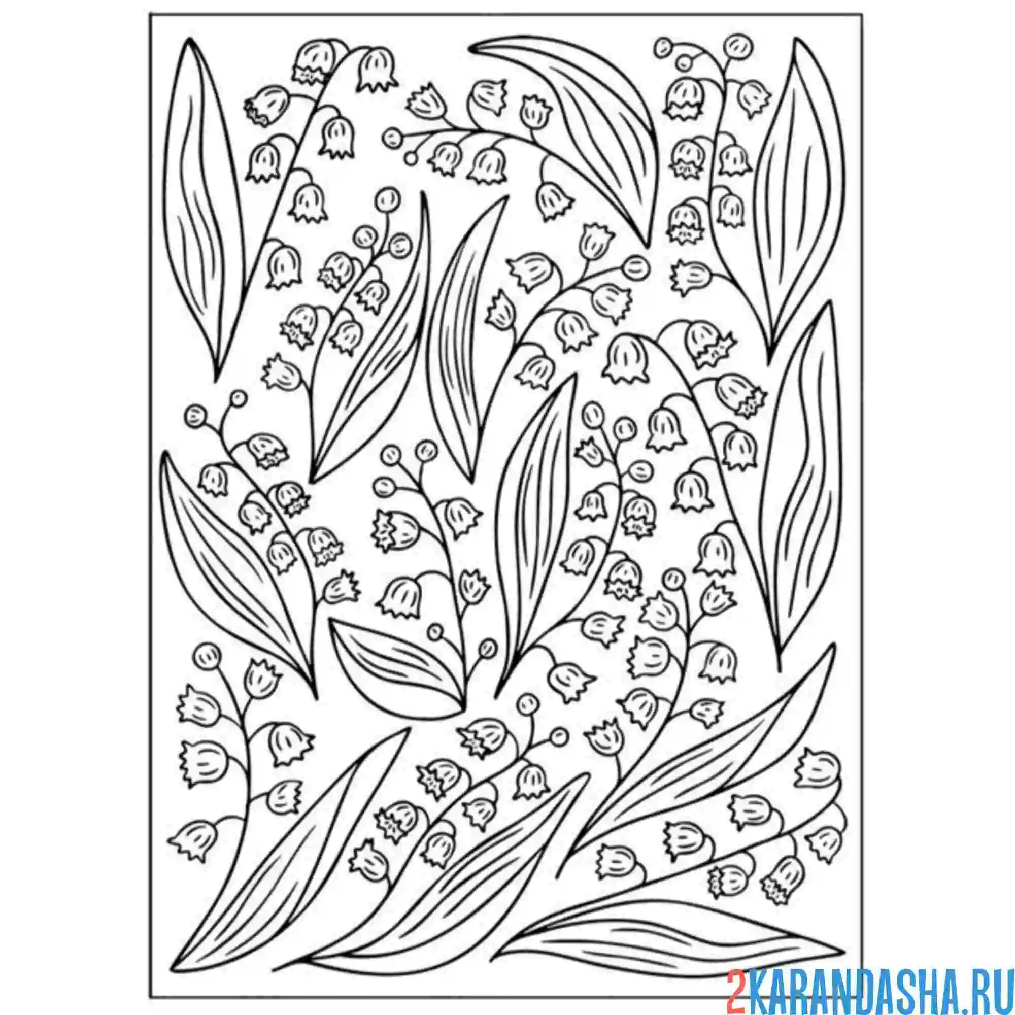 Раскраска ландыши орнамент