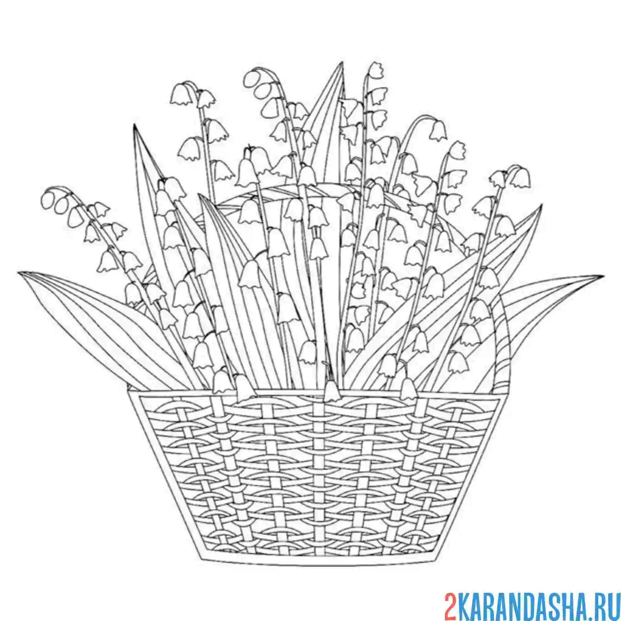Раскраска ландыши в большой корзине