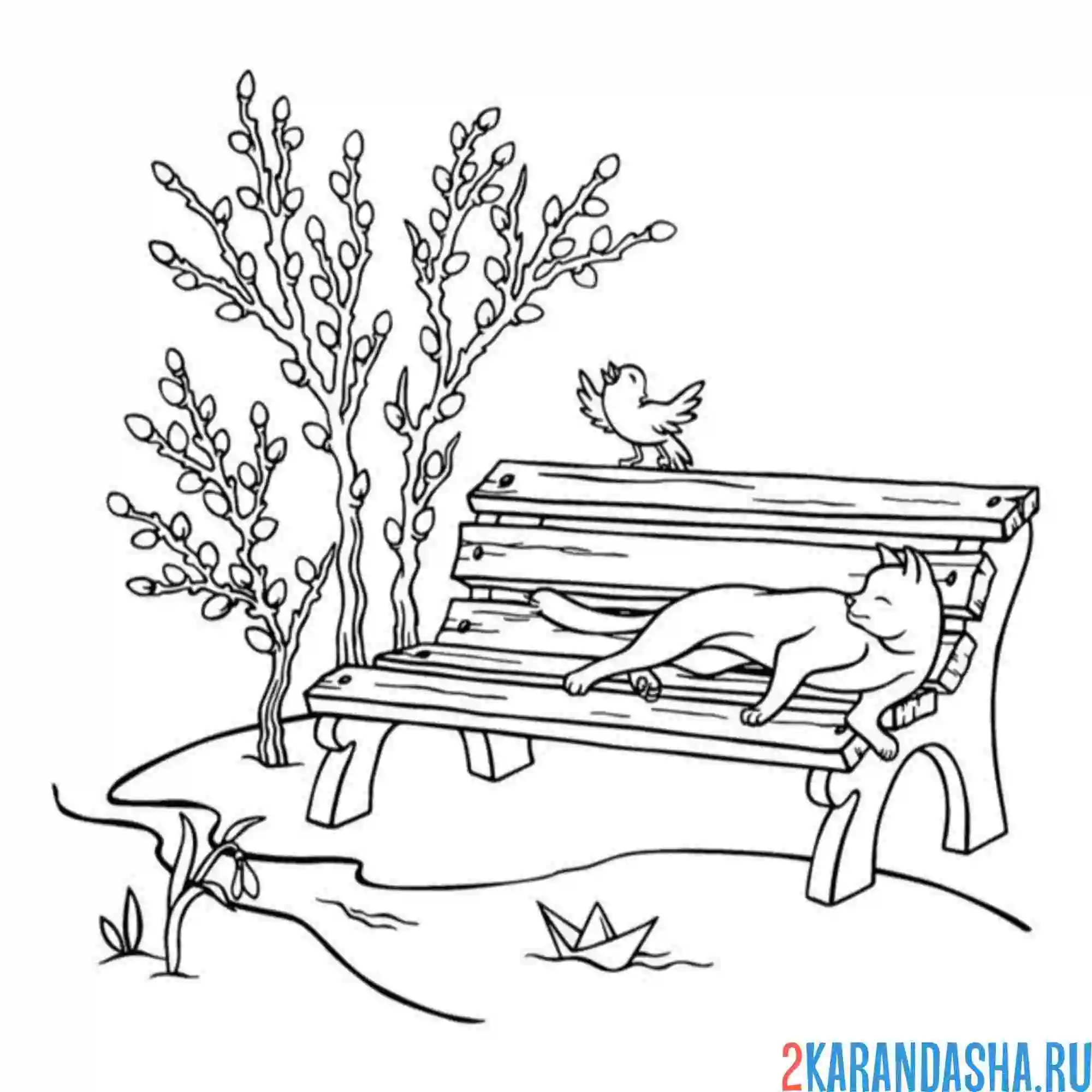 Раскраска дерево вербы в парке