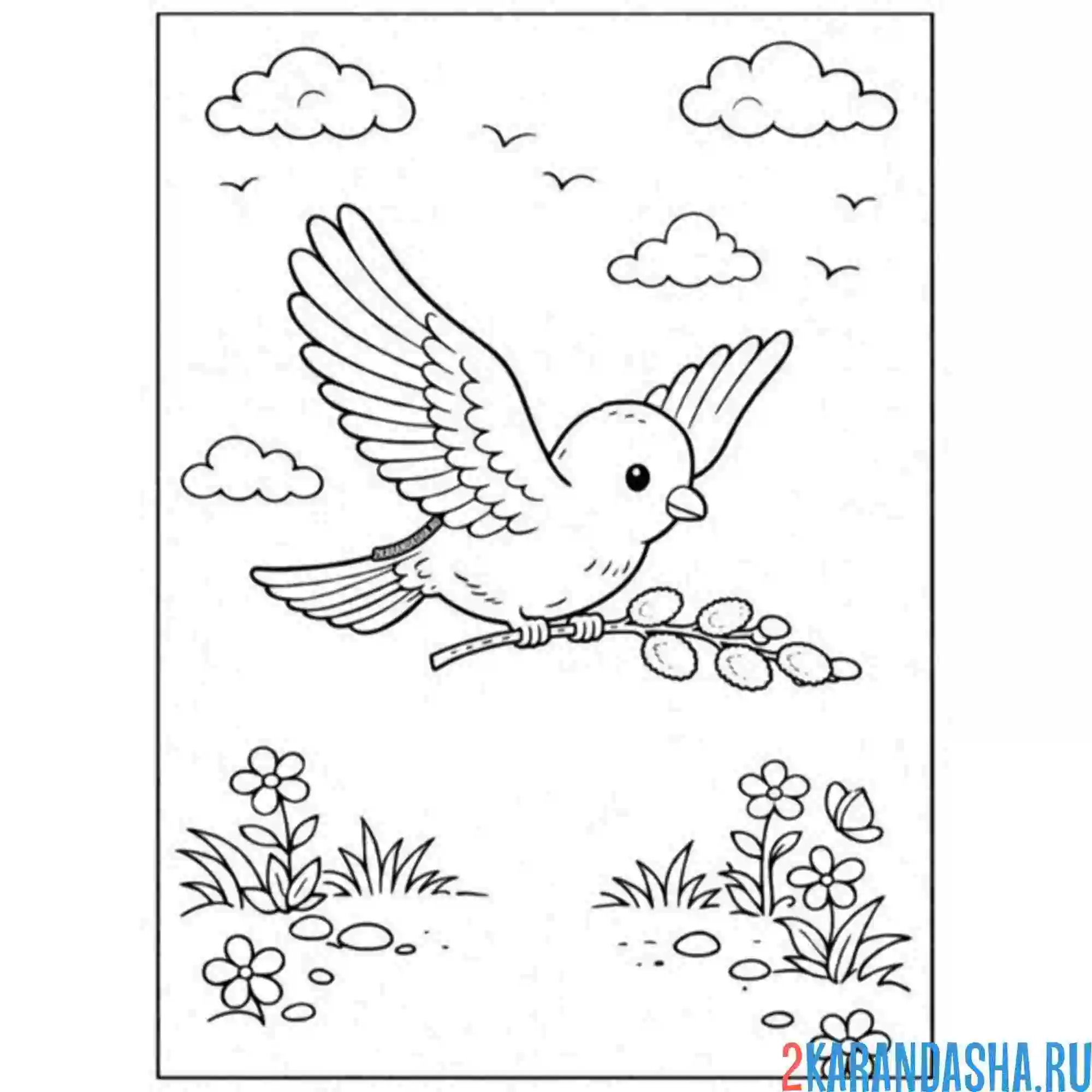 Раскраска птичка и веточка вербы