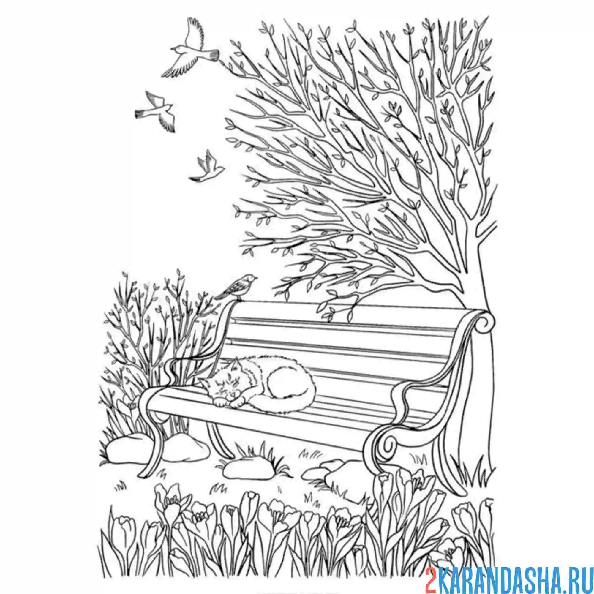 Раскраска парк и верба