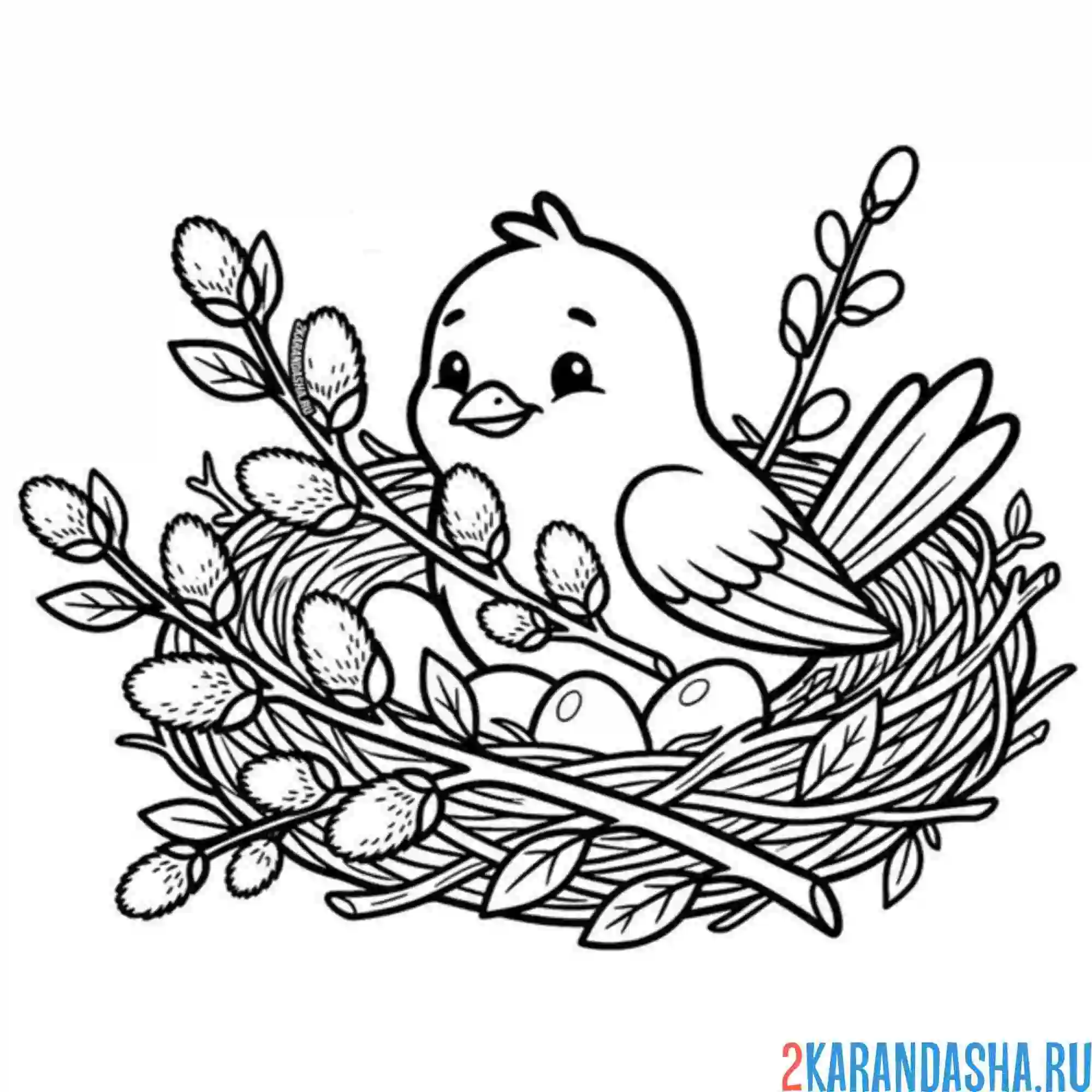 Раскраска птичка в гнезде с вербой