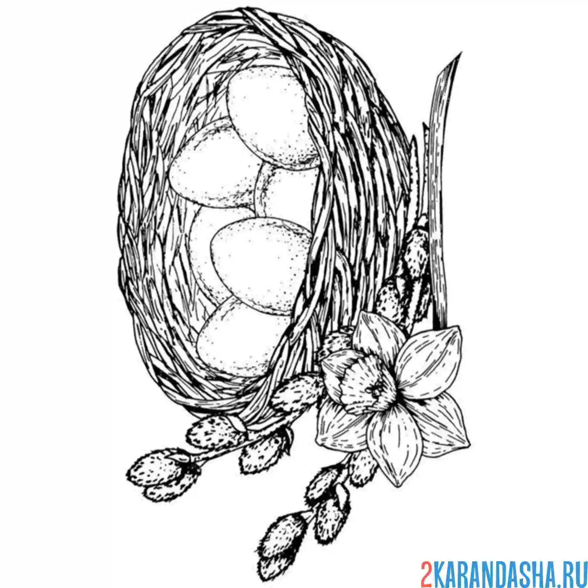 Раскраска верба и гнездо