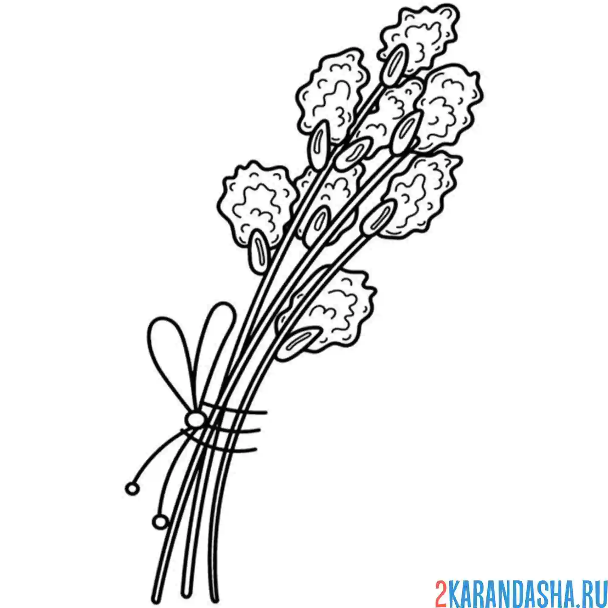 Раскраска верба маленький букетик