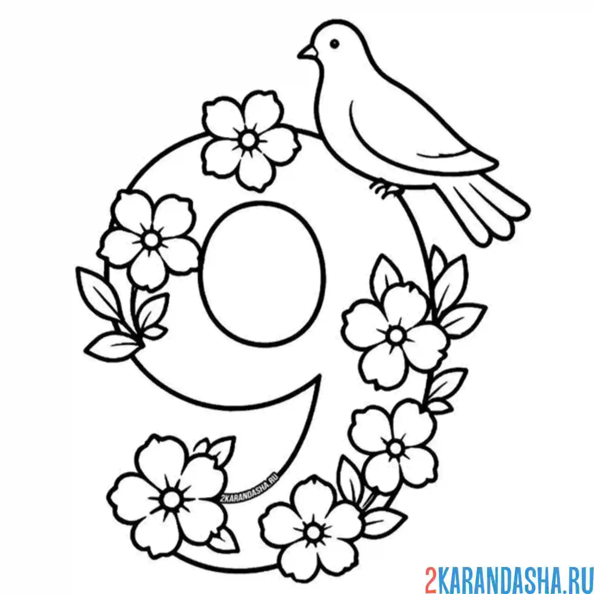 Раскраска 9 мая голубь мира