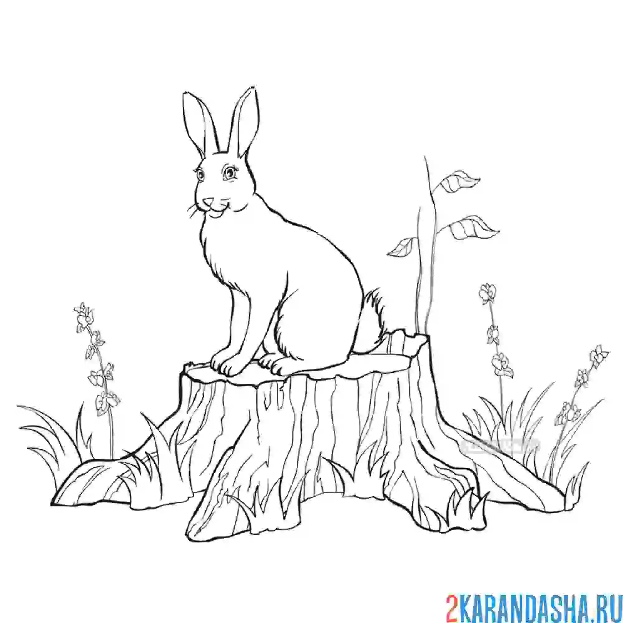 Раскраска зайчик в весеннем лесу