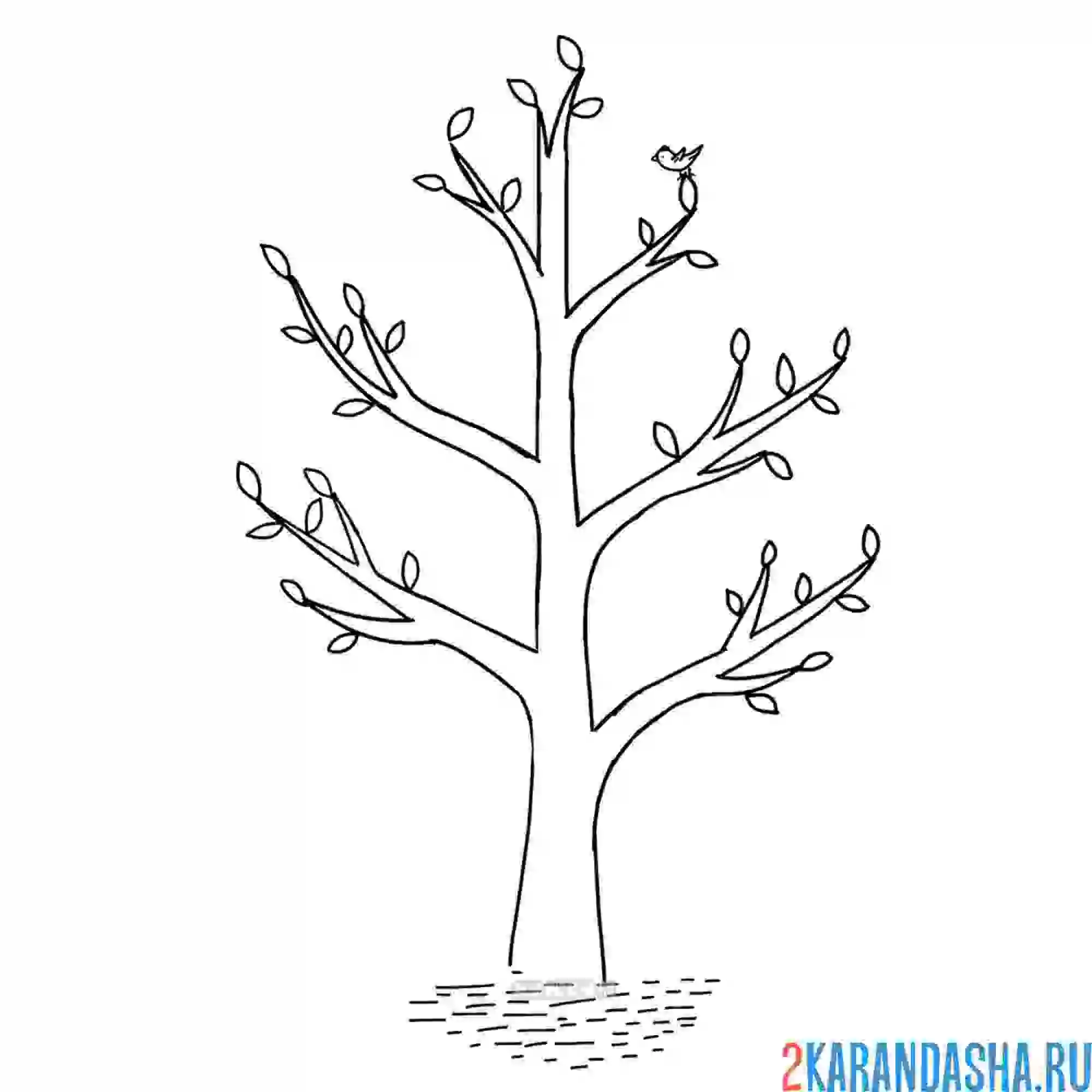 Раскраска весеннее дерево