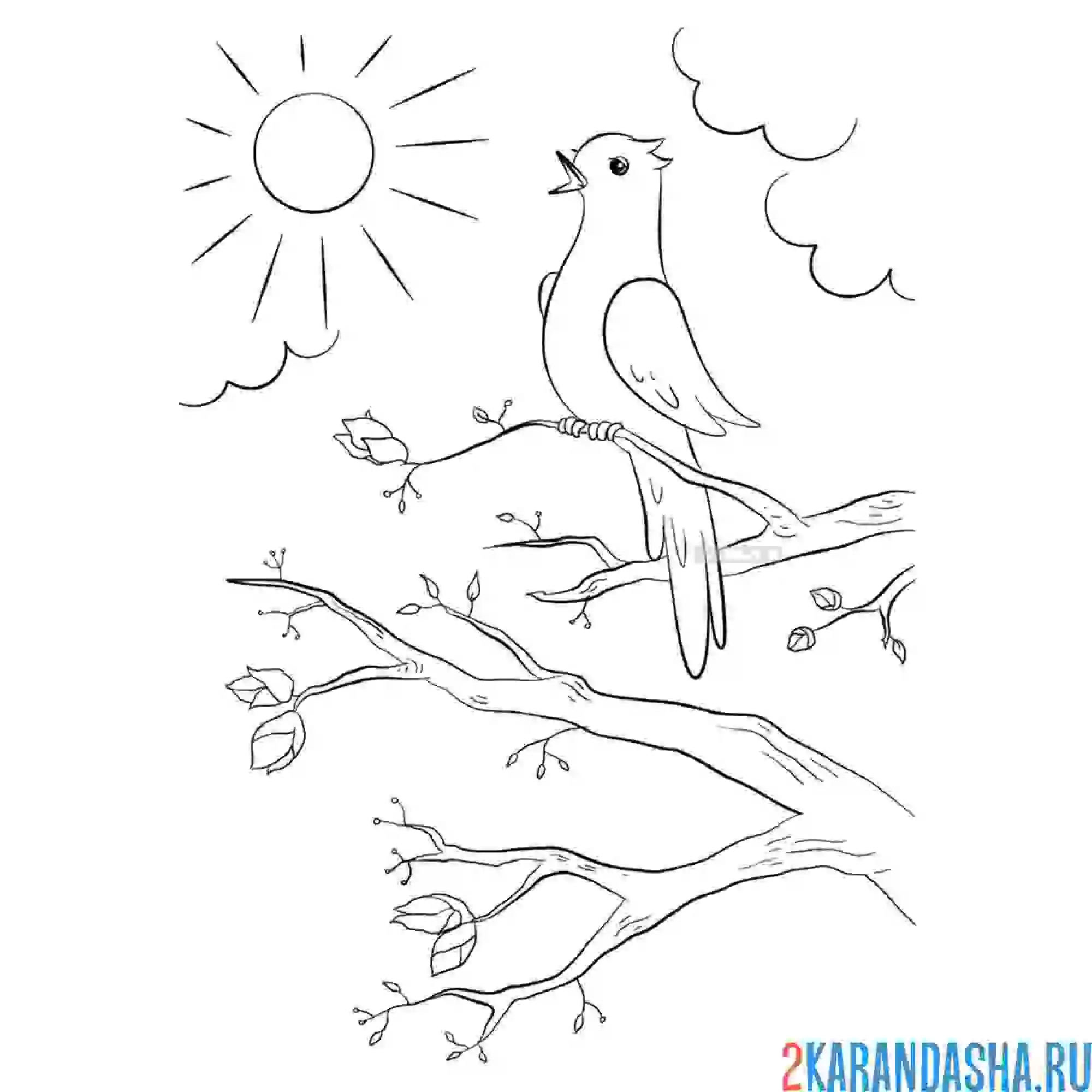 Раскраска весеннее утро