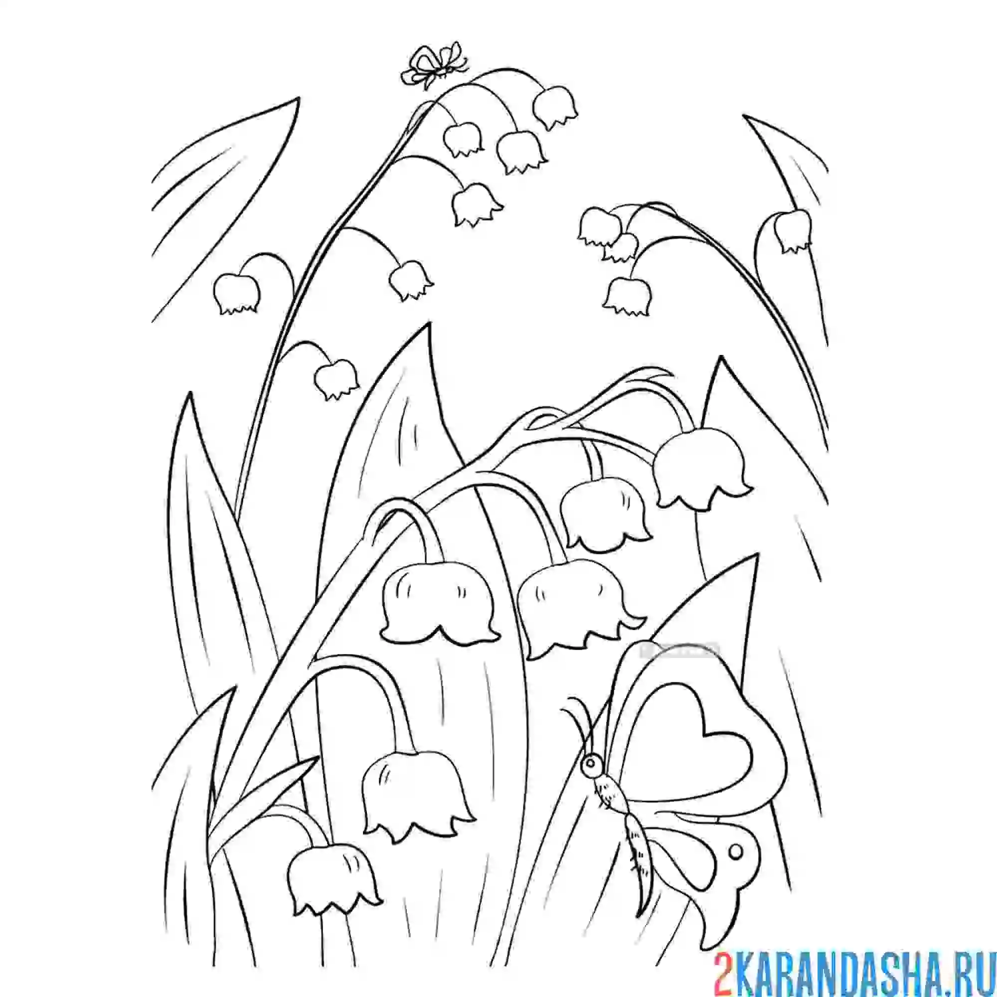 Раскраска весенние ландыши