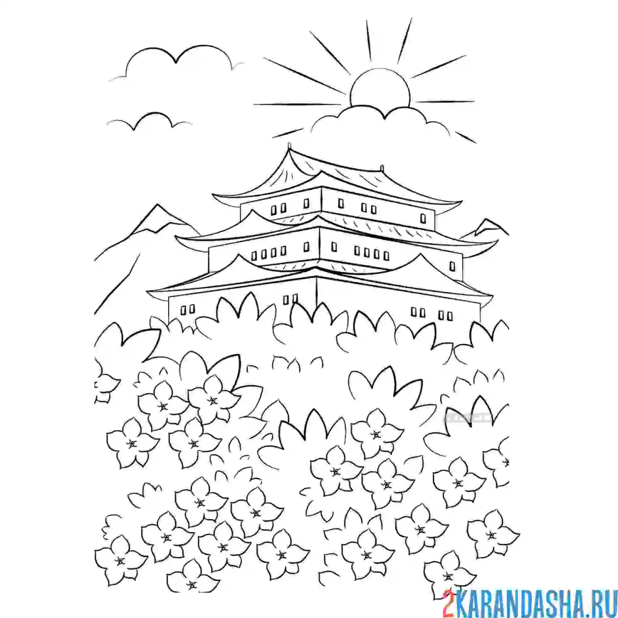 Раскраска цветущая сакура япония