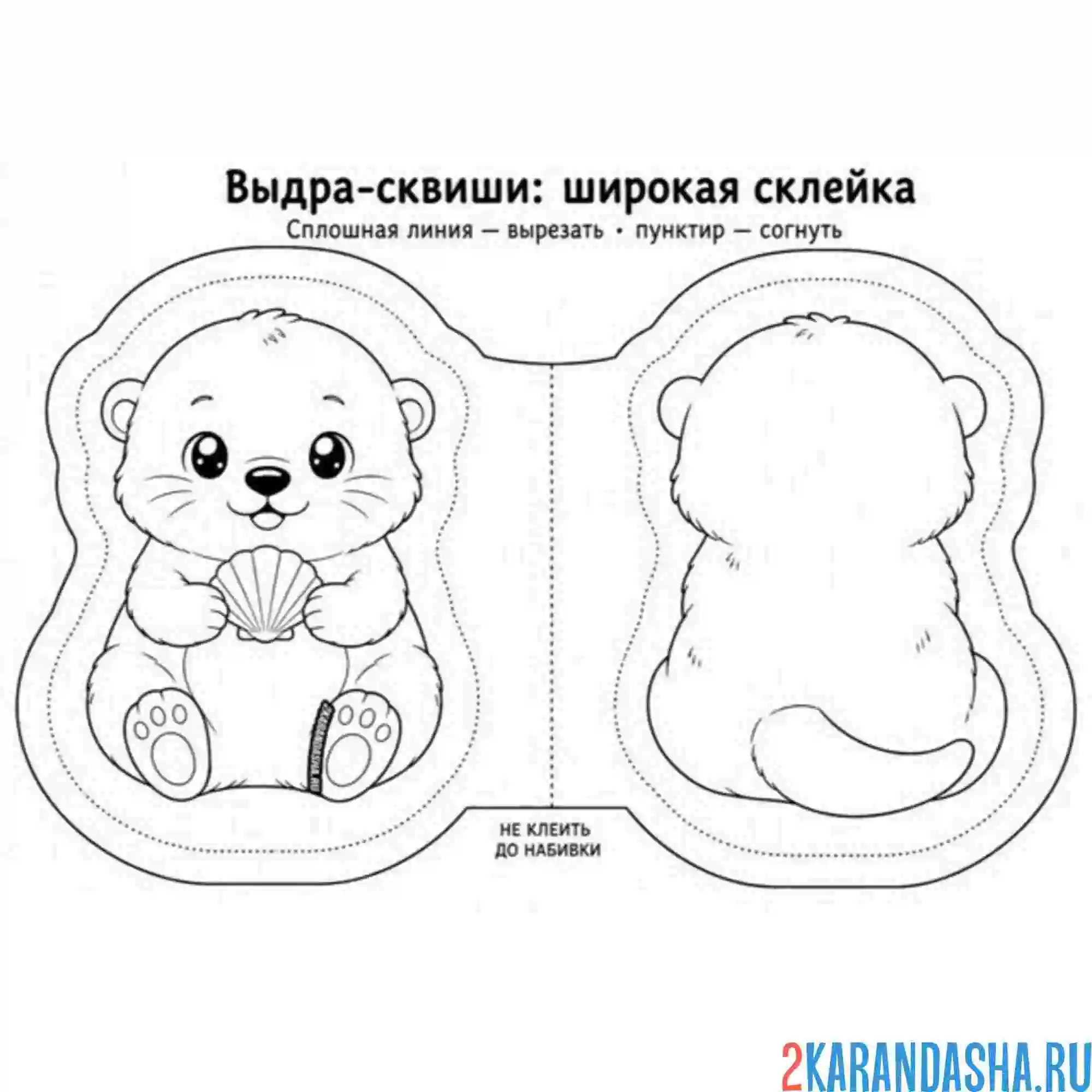 Раскраска сквиши выдра