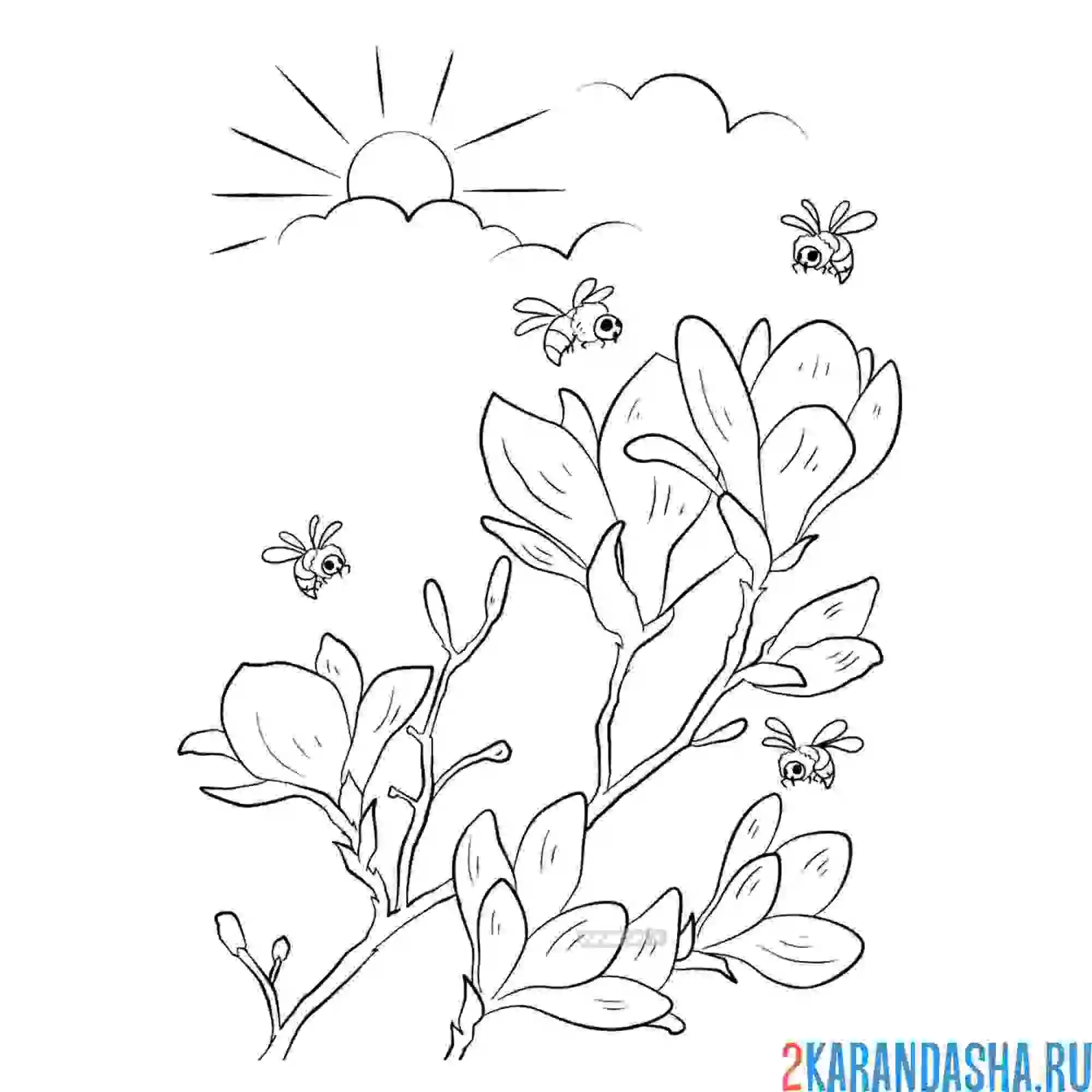 Раскраска цветущая весенняя природа