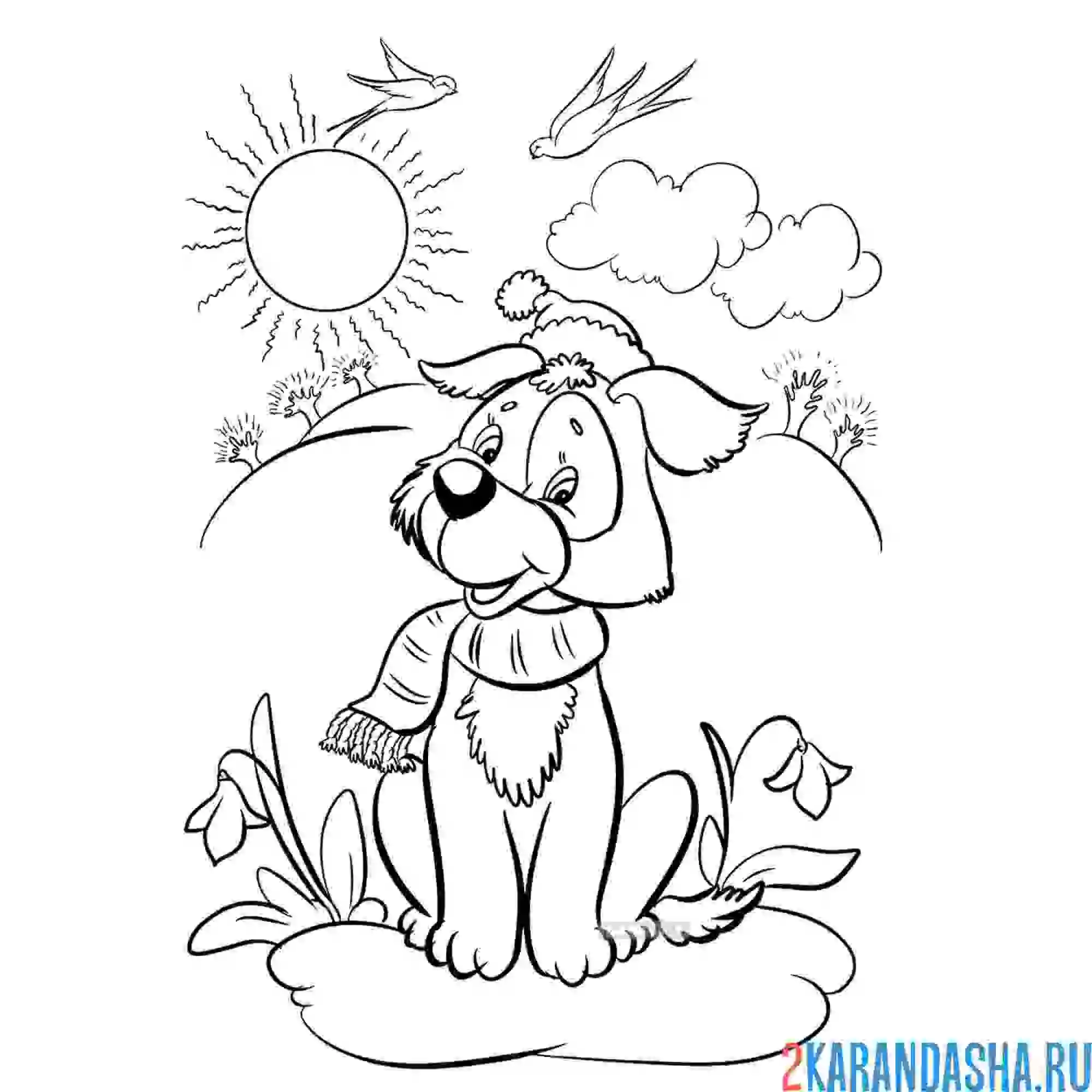 Раскраска собака на весенней природе
